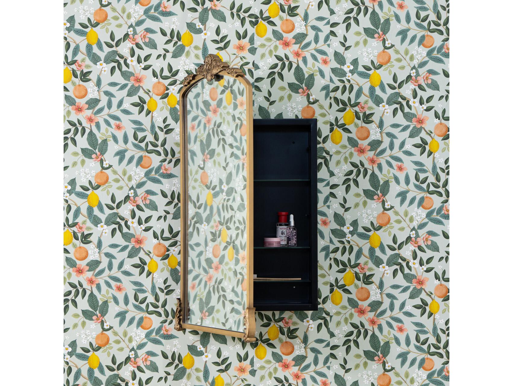 Cooper Classics Adeline  Medicine Cabinet