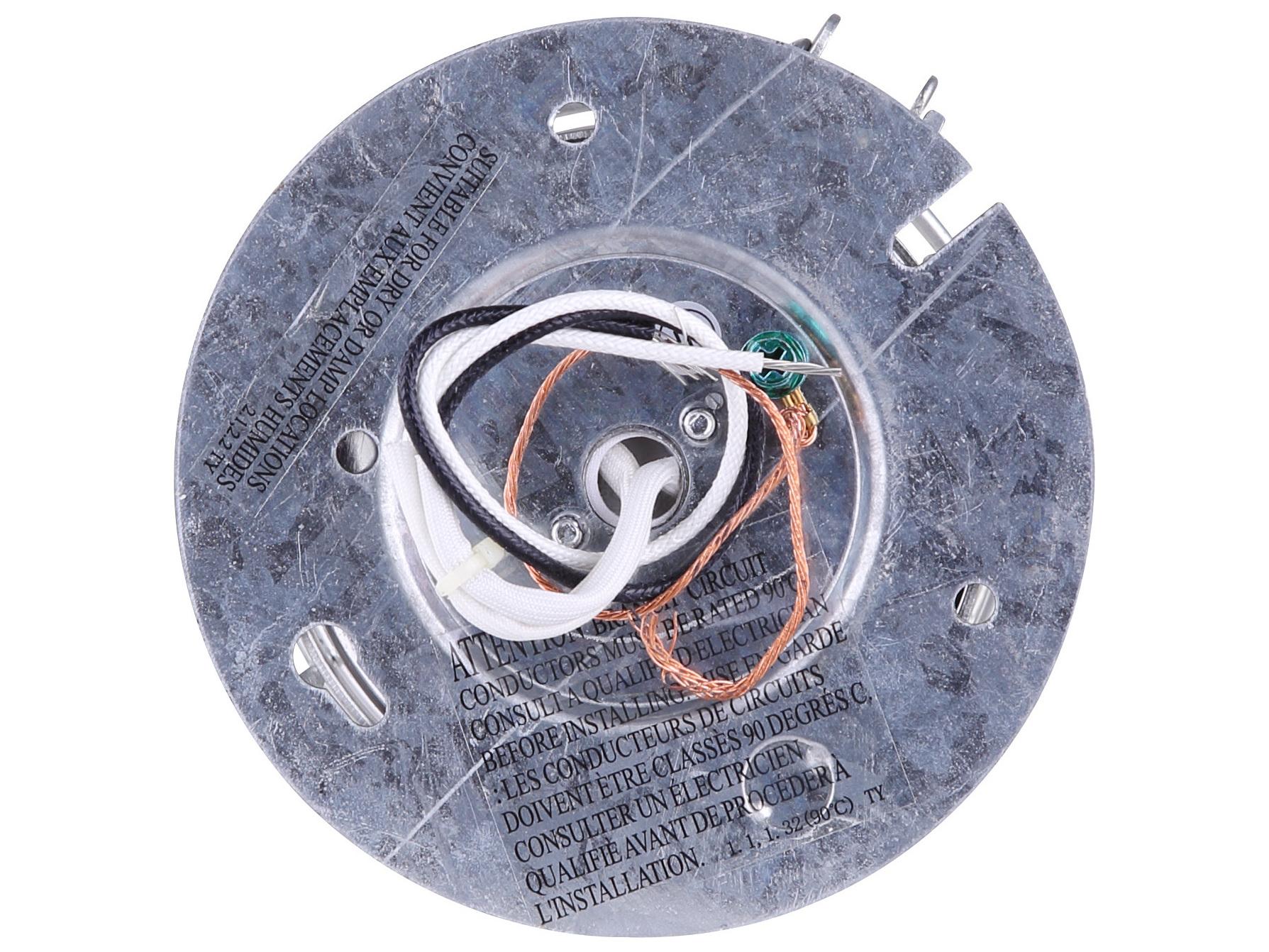 Canarm Barn Lighting 1 -light Outdoor Ceiling Light