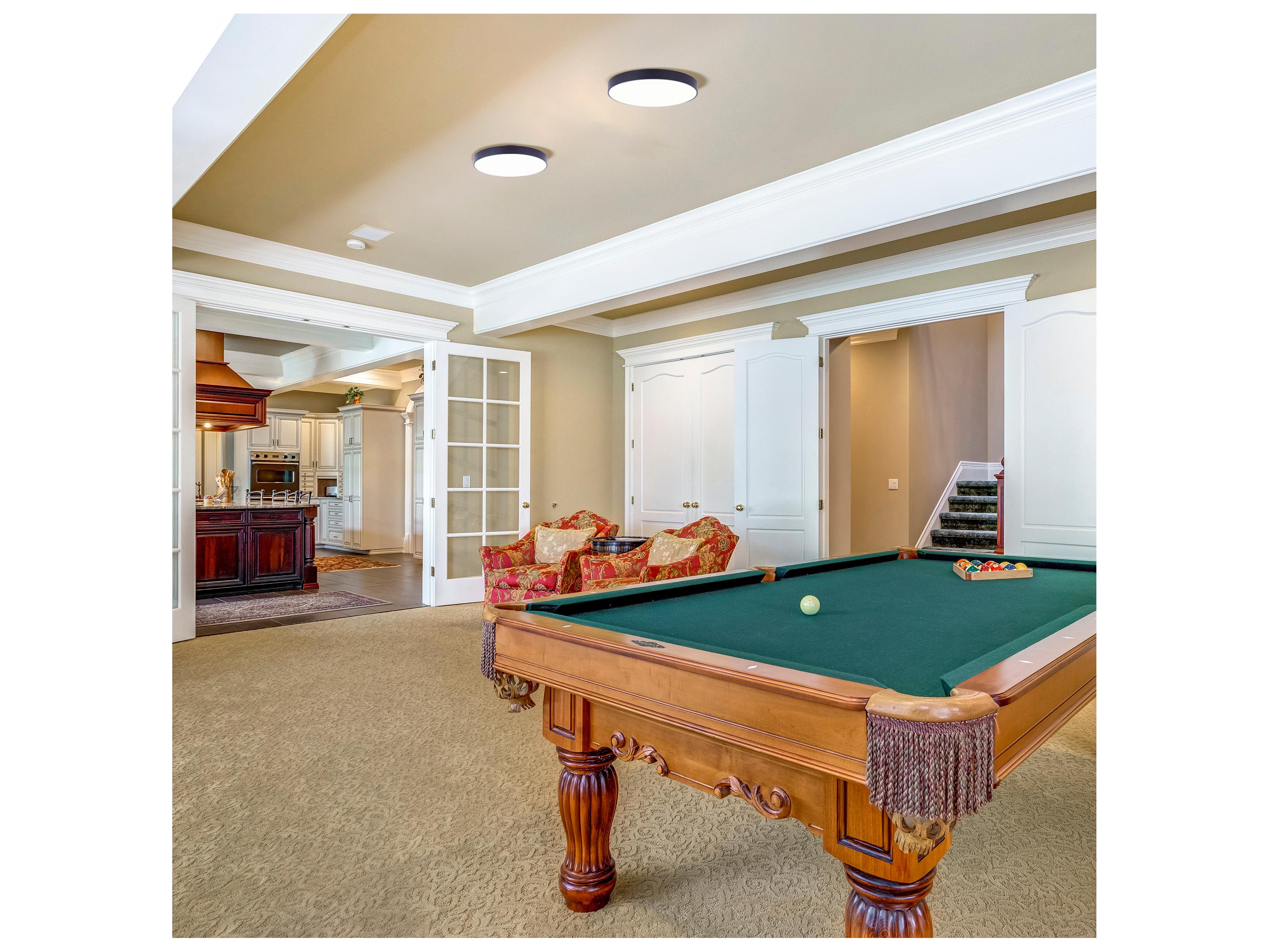 Canarm Led Edgeless Flush Mount Black LED Round