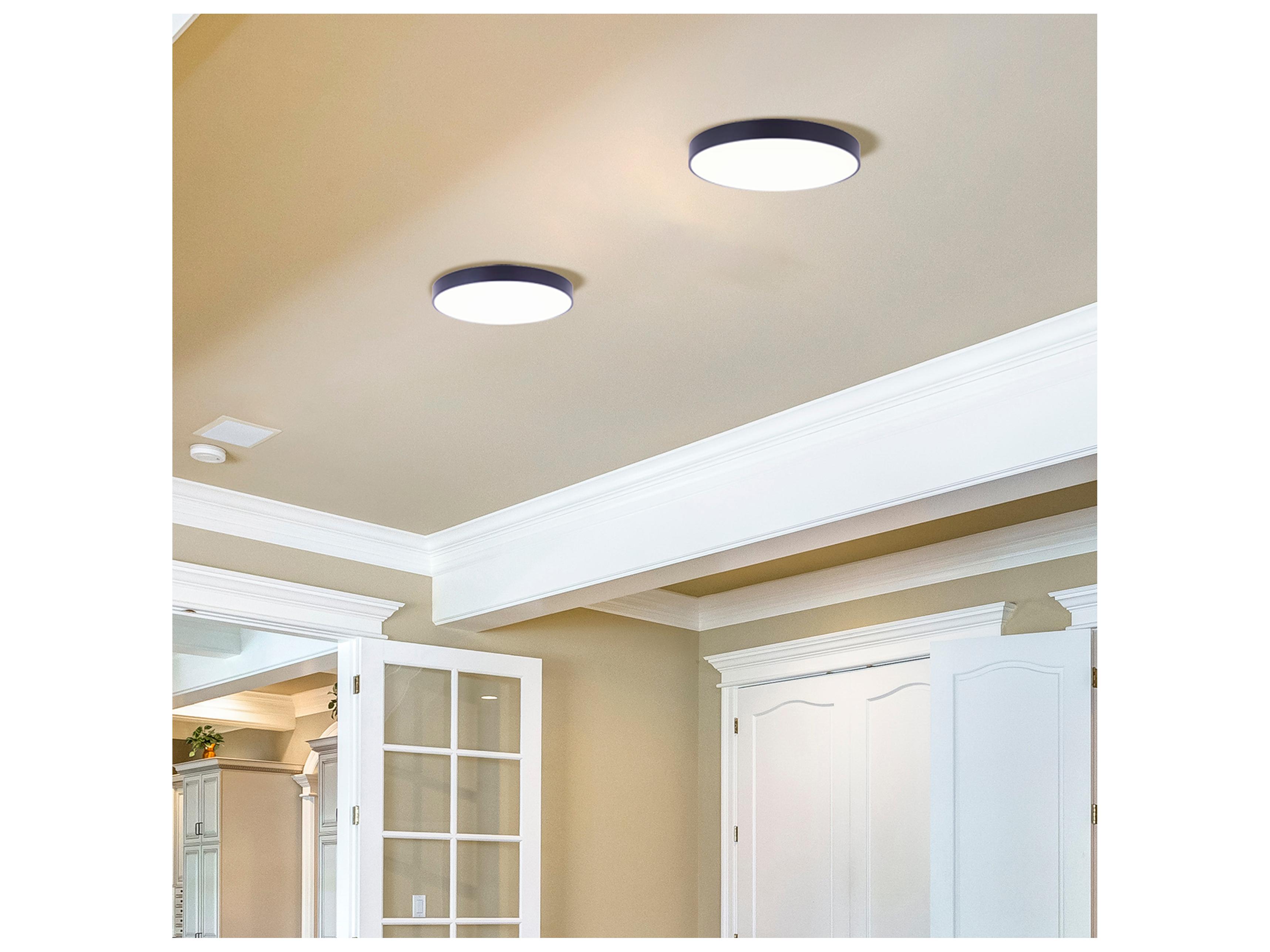 Canarm Led Edgeless Flush Mount Black LED Round