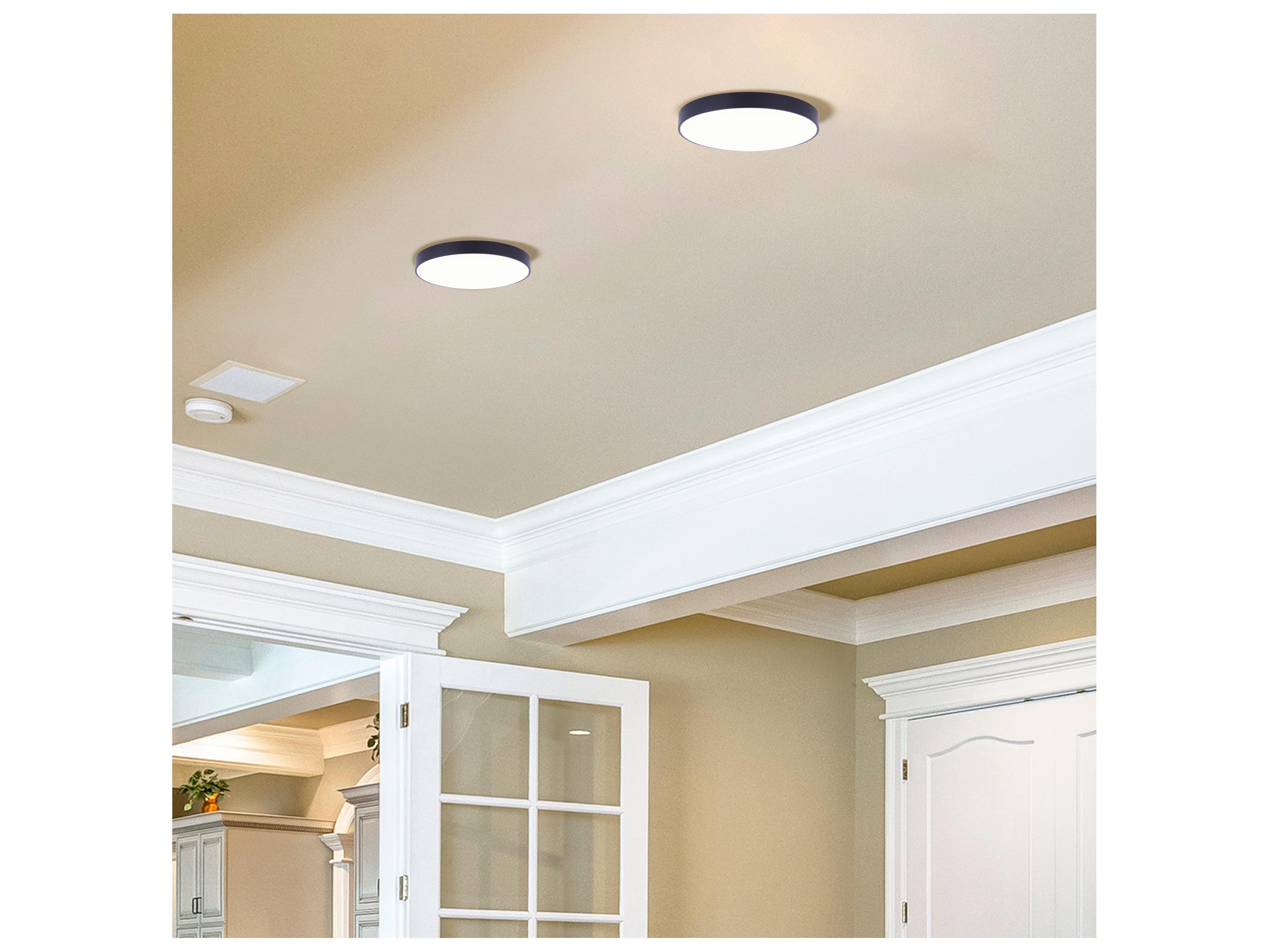 Canarm Led Edgeless Flush Mount Black LED Round