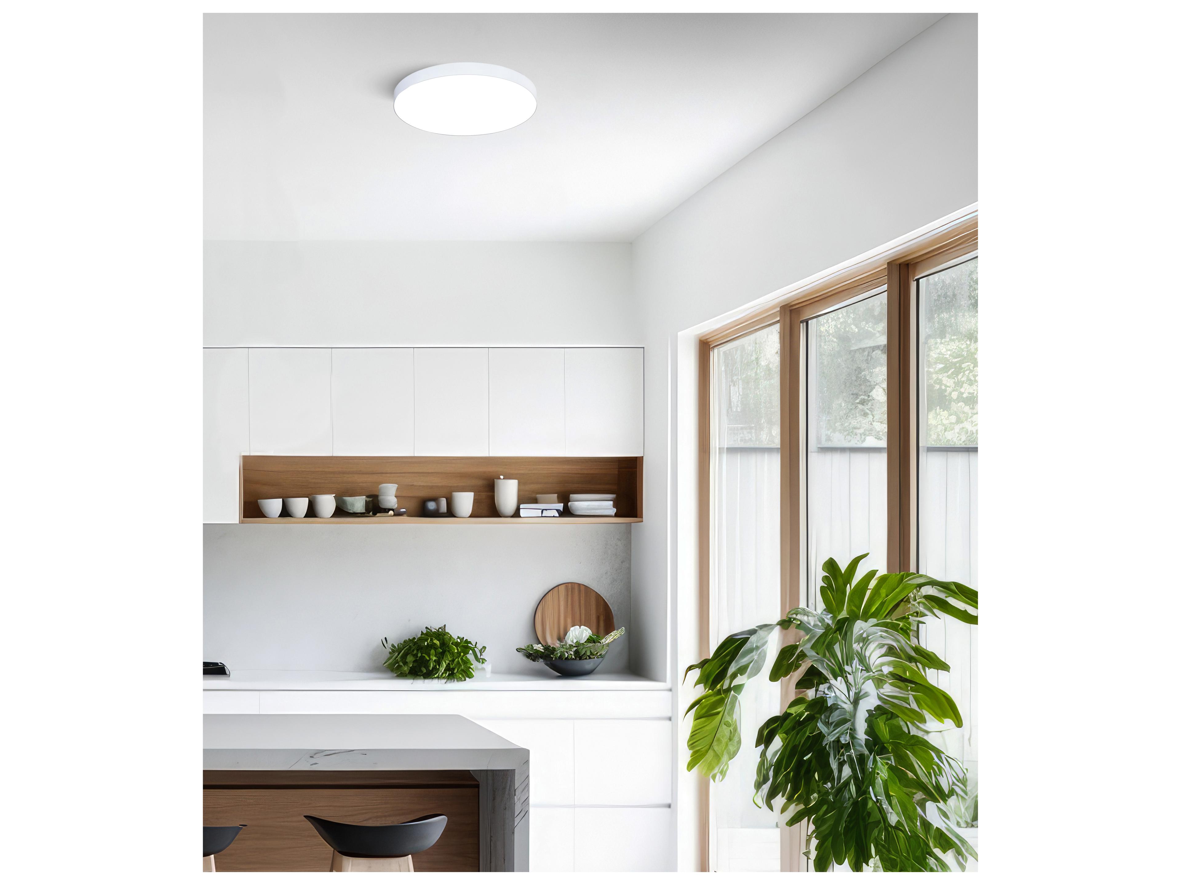 Canarm Led Edgeless Flush Mount White LED Round