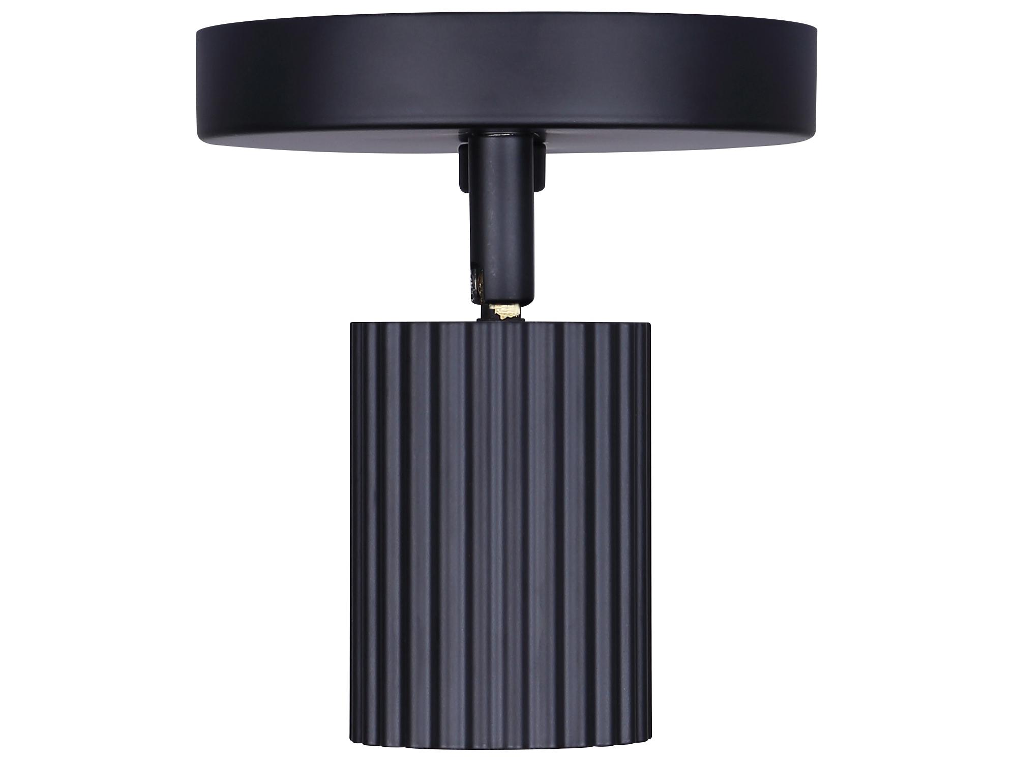 Canarm Rexton 2 -light Black Cylinder Spot Light