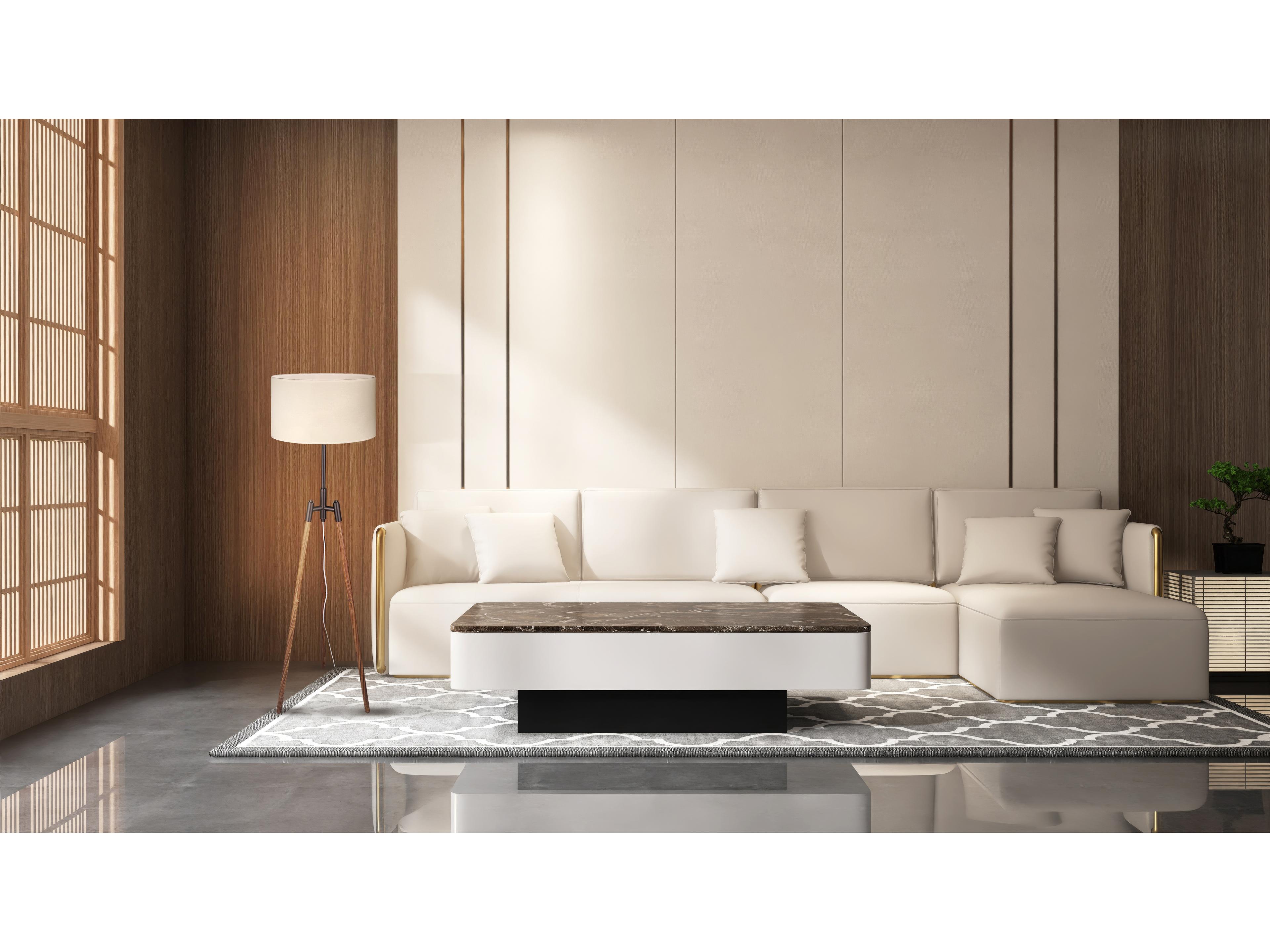 Canarm Cameram Black Floor Lamp