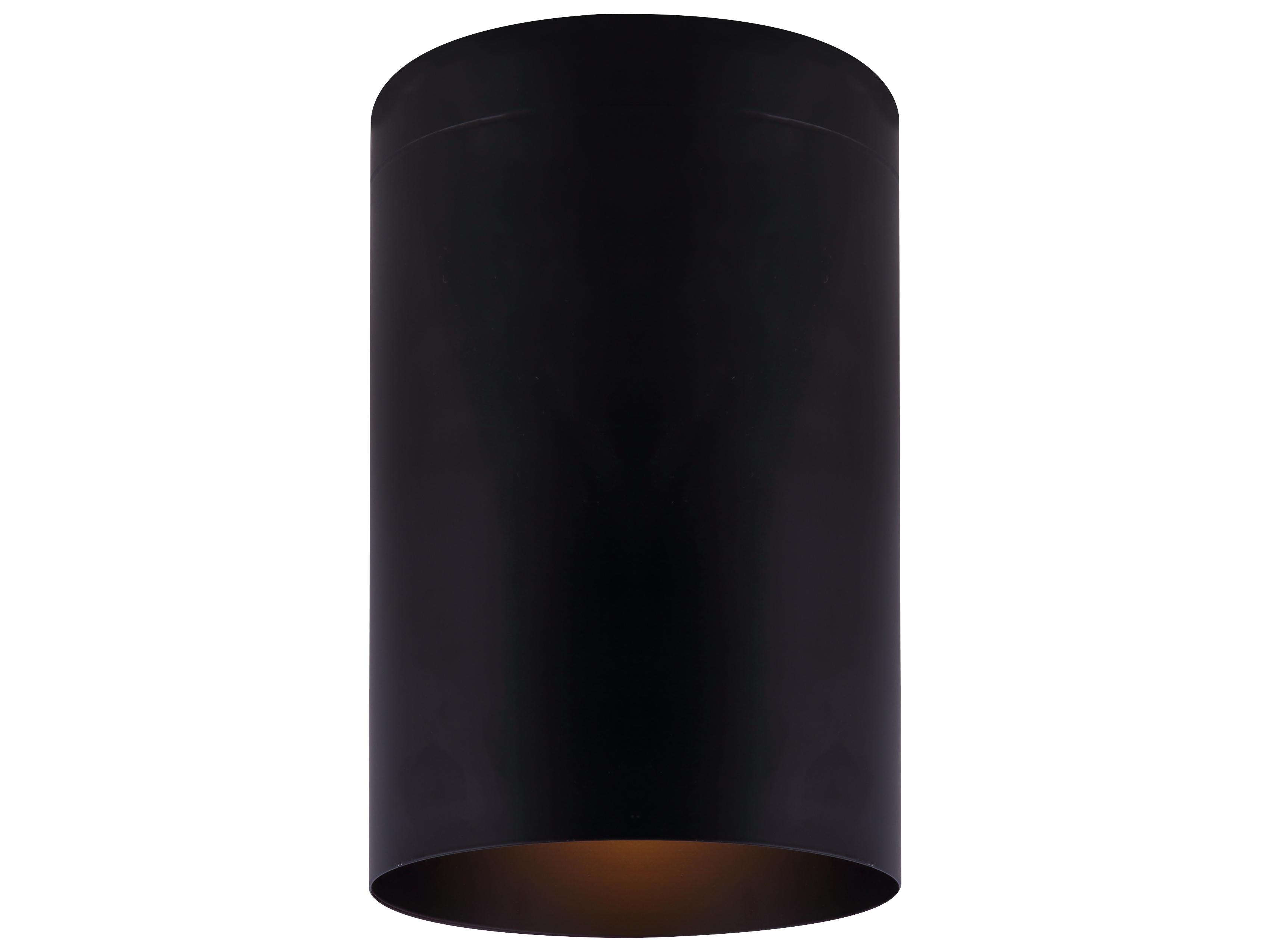 Canarm Agna 1 -light Black Cylinder Flush Mount