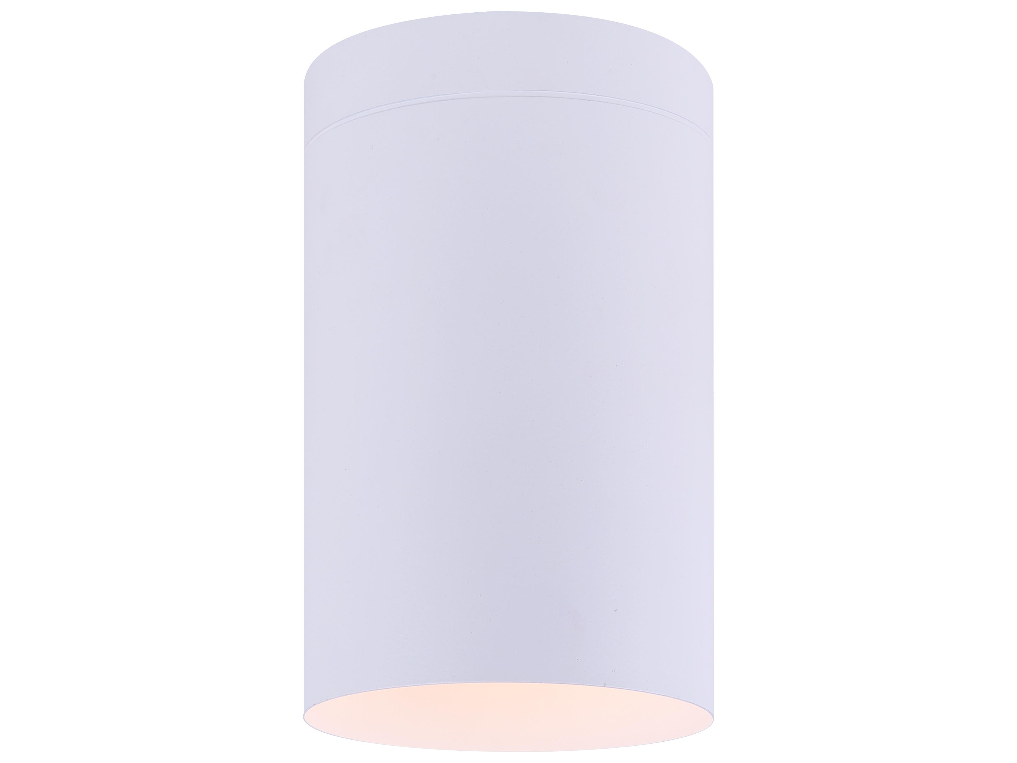 Canarm Agna 1 -light White Cylinder Flush Mount