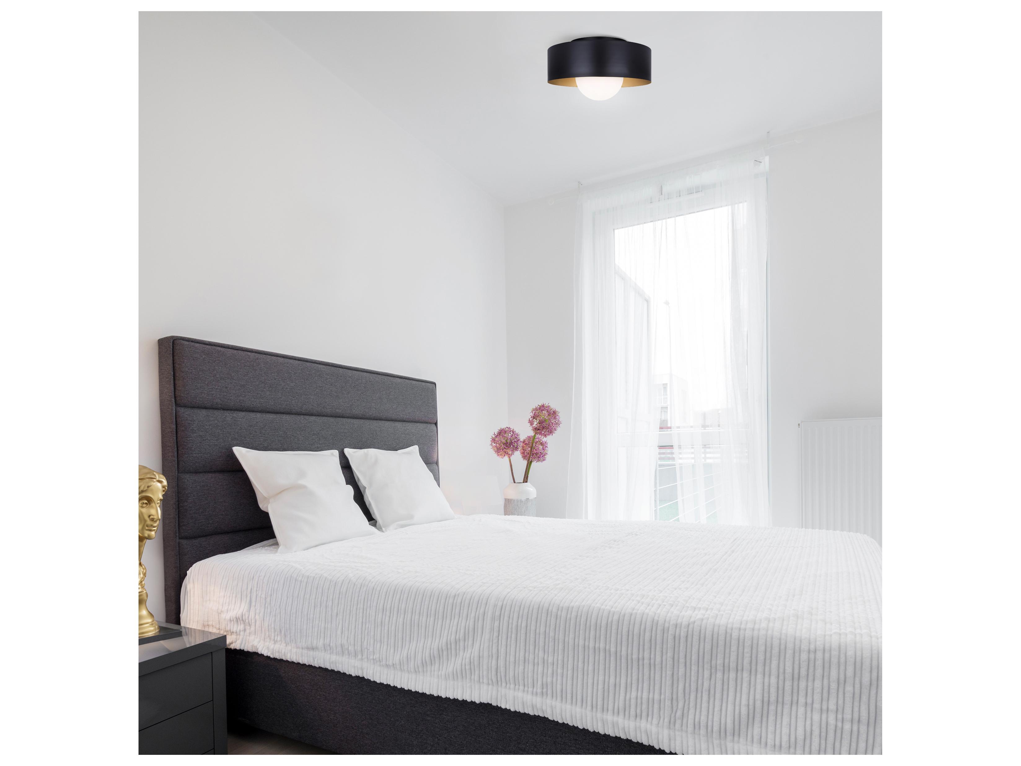 Canarm Daylon 1 -light Black Drum Flush Mount