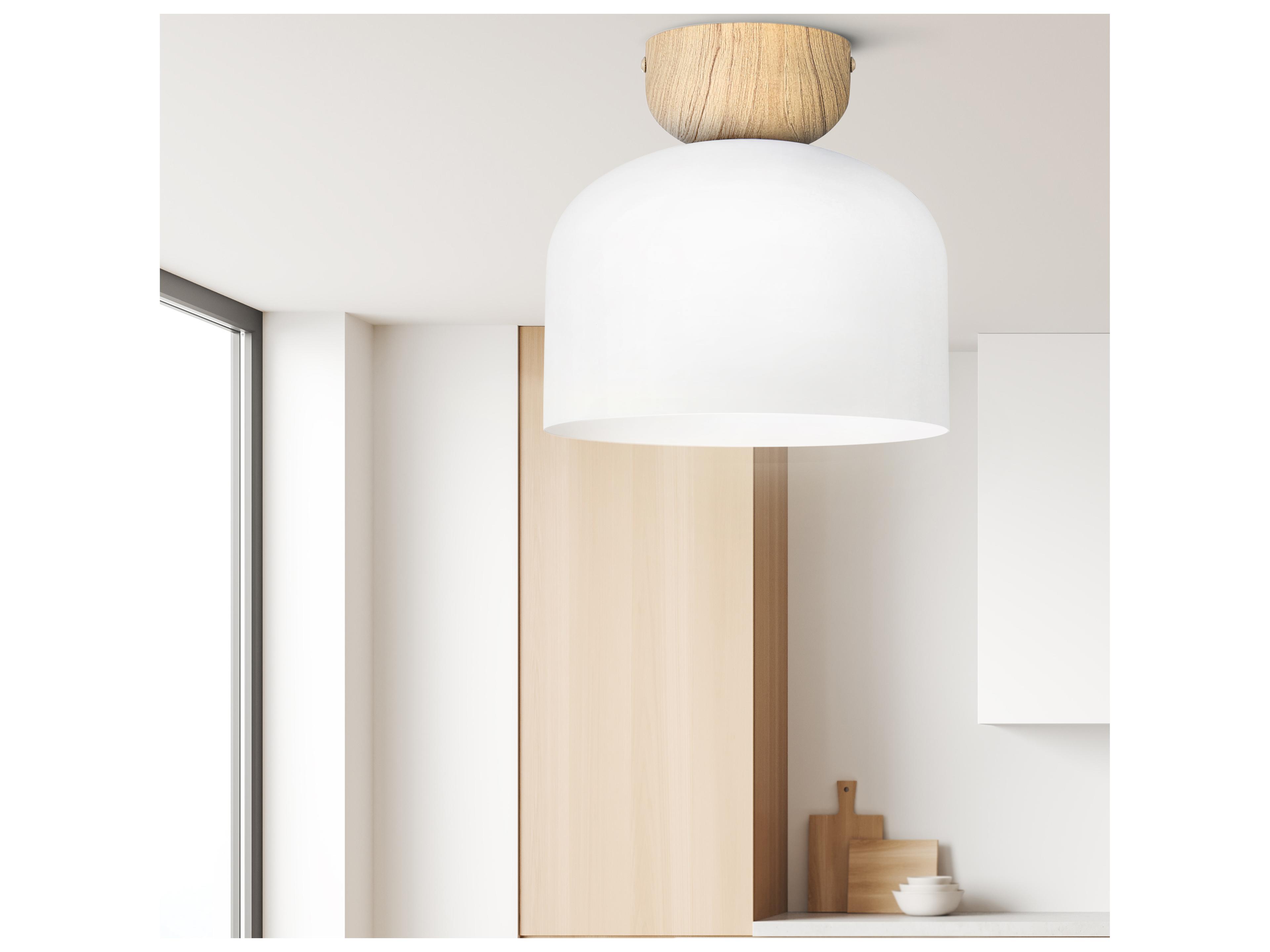 Canarm Caleb 1 -light White Dome Flush Mount