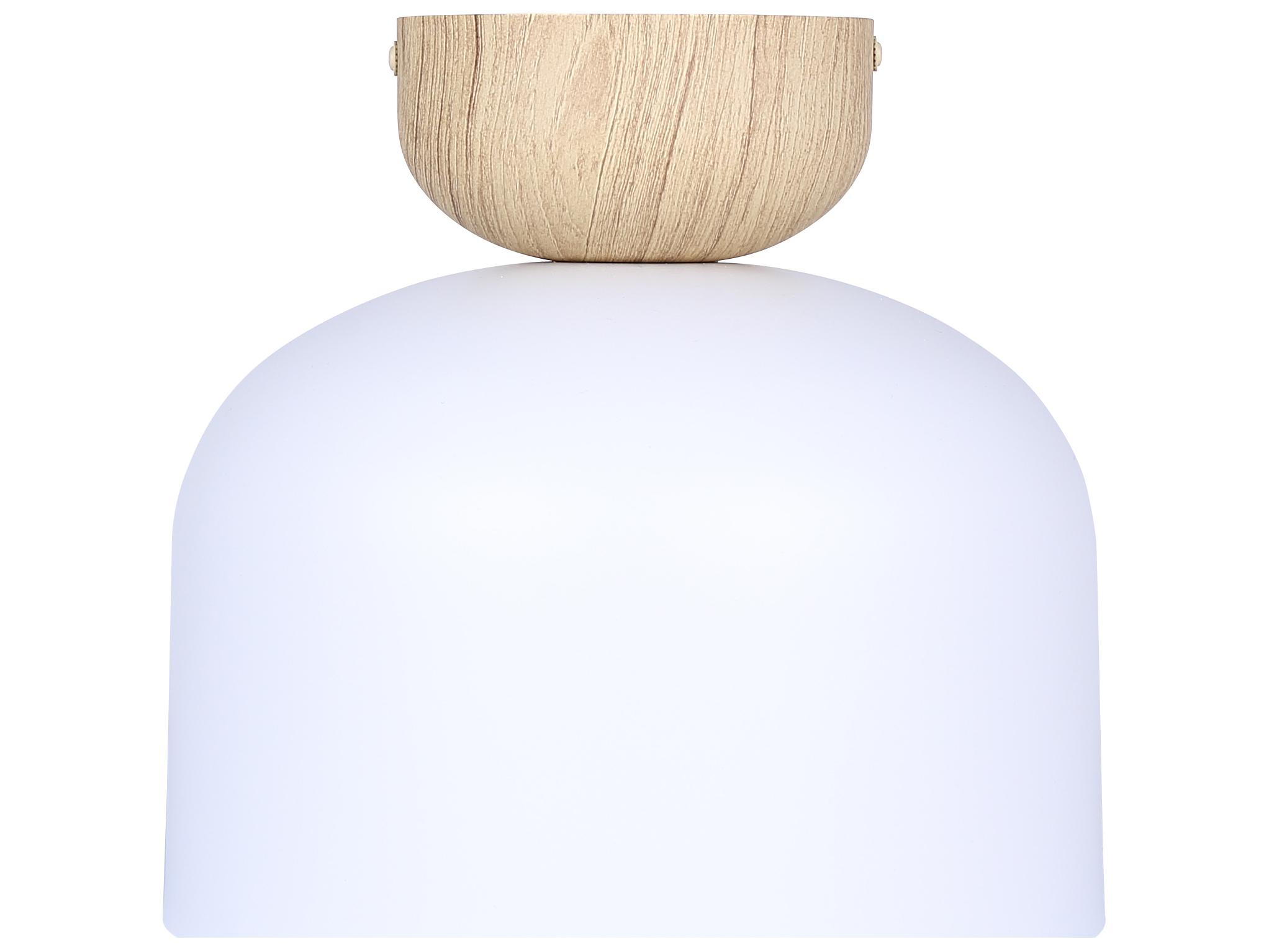 Canarm Caleb 1 -light White Dome Flush Mount