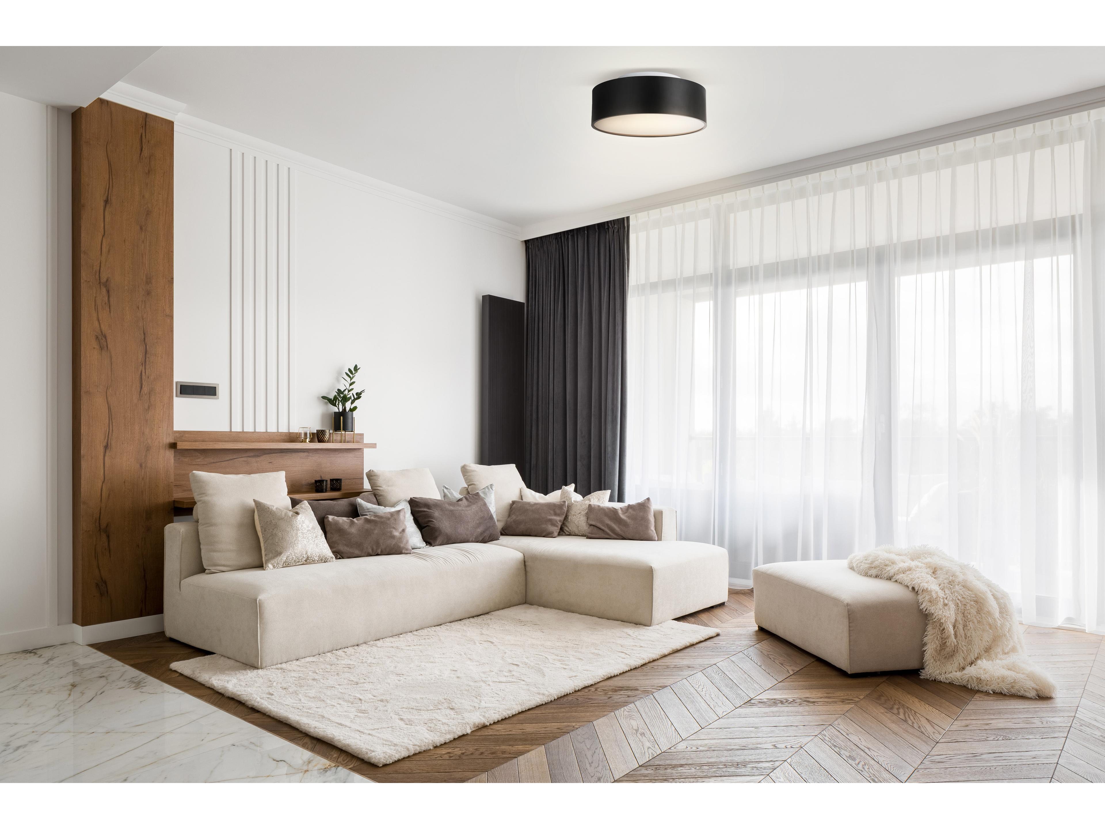 Canarm Dexter 2 -light Black Drum Flush Mount