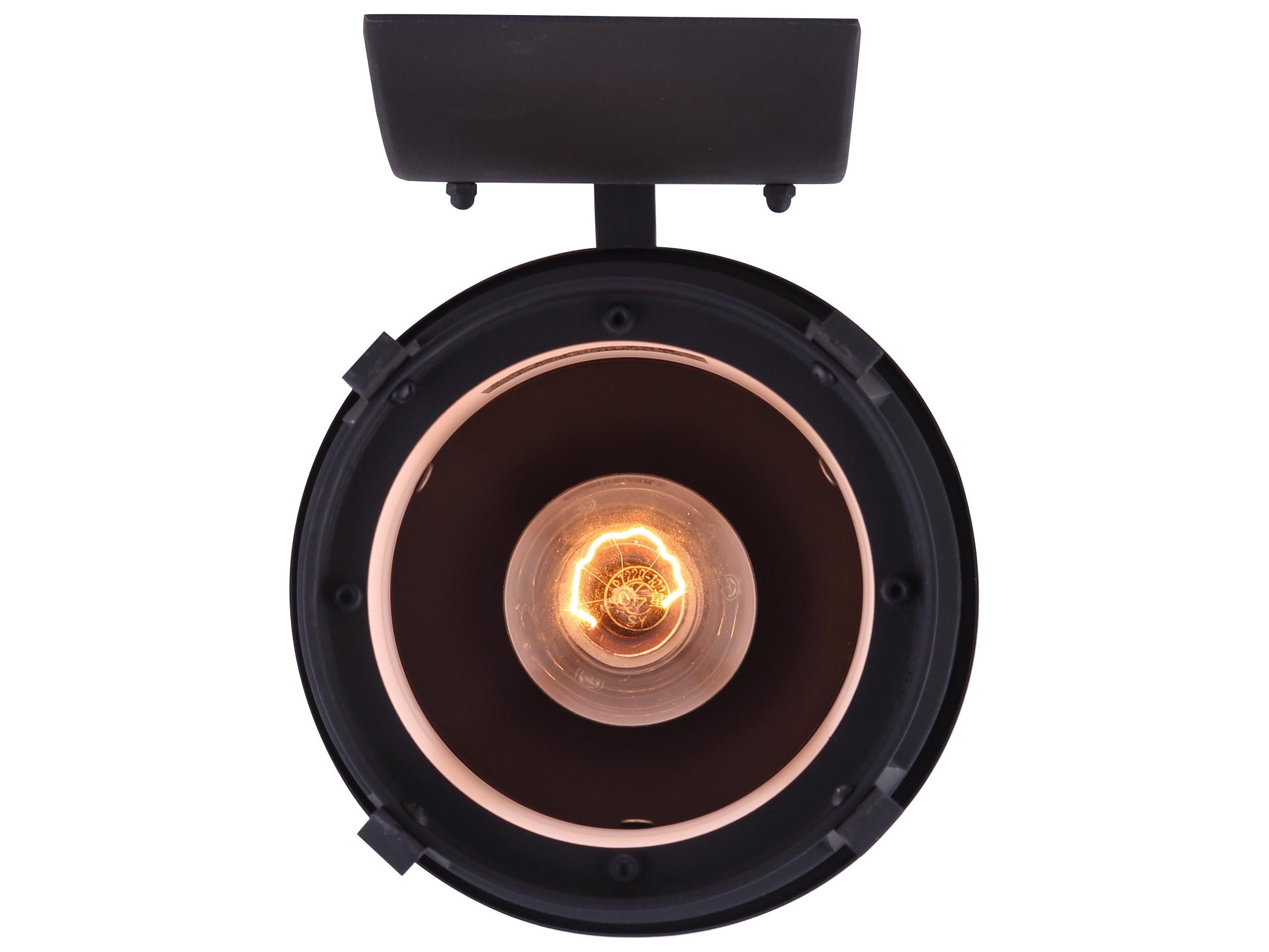 Canarm Maya 1 -light Outdoor Wall Light