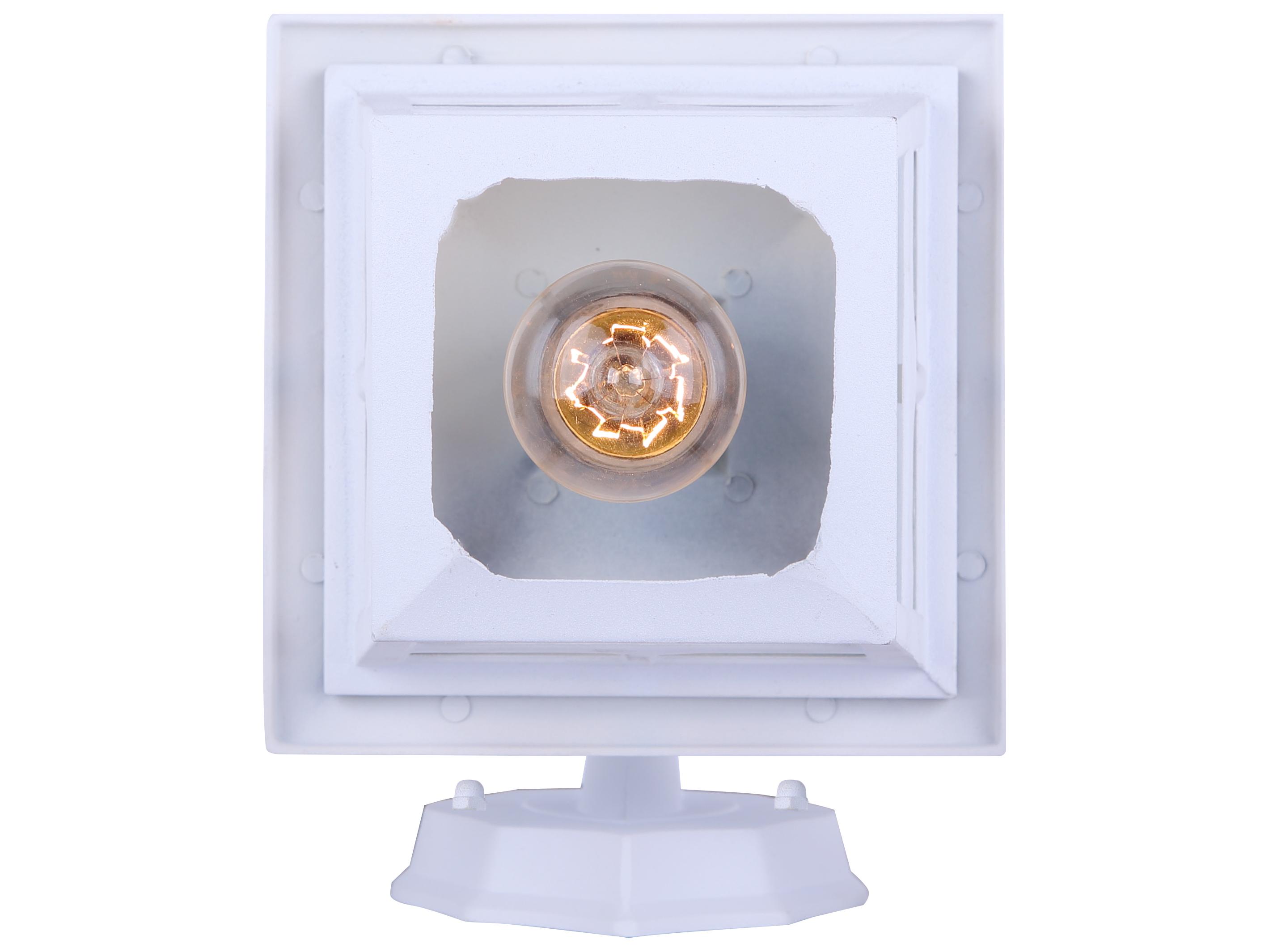 Canarm Fieldhouse 1 -light Outdoor Wall Light
