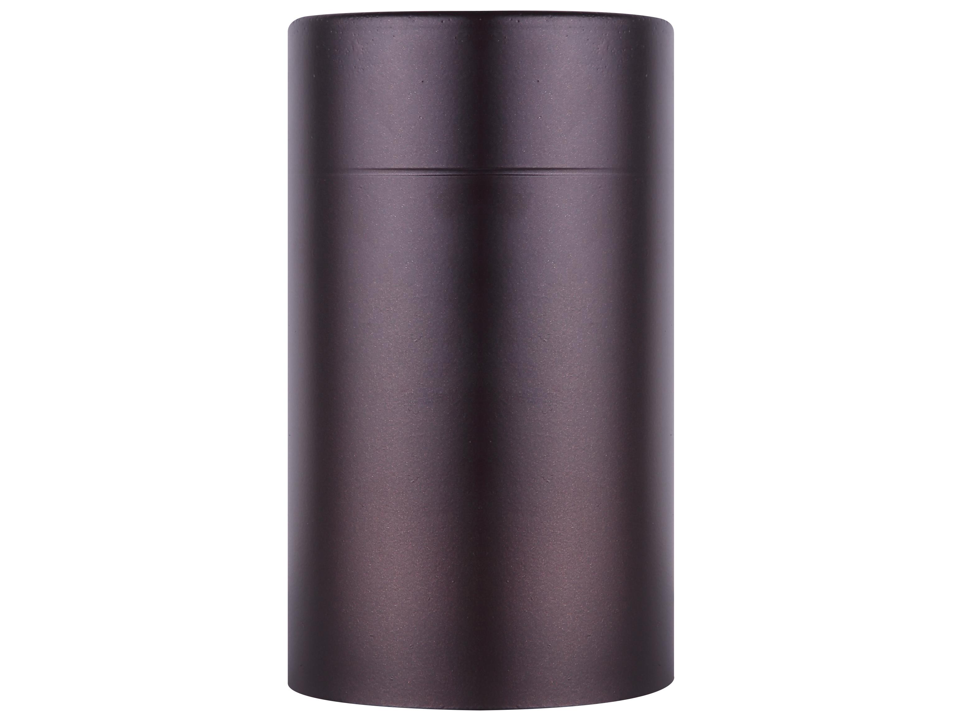 Canarm Night Sky 1 -light Outdoor Wall Light