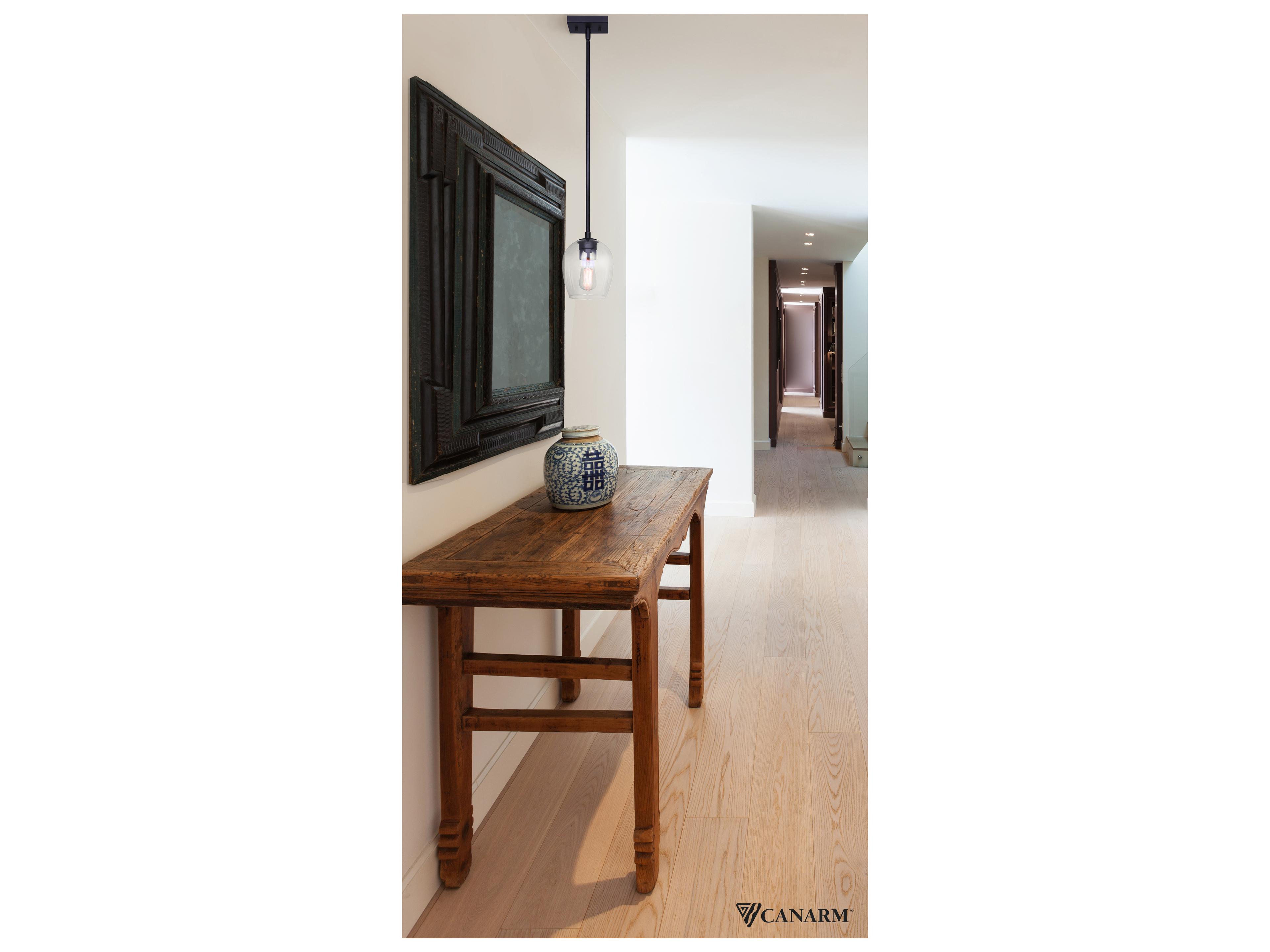 Canarm Cain 1 -light Black Globe Mini Pendant