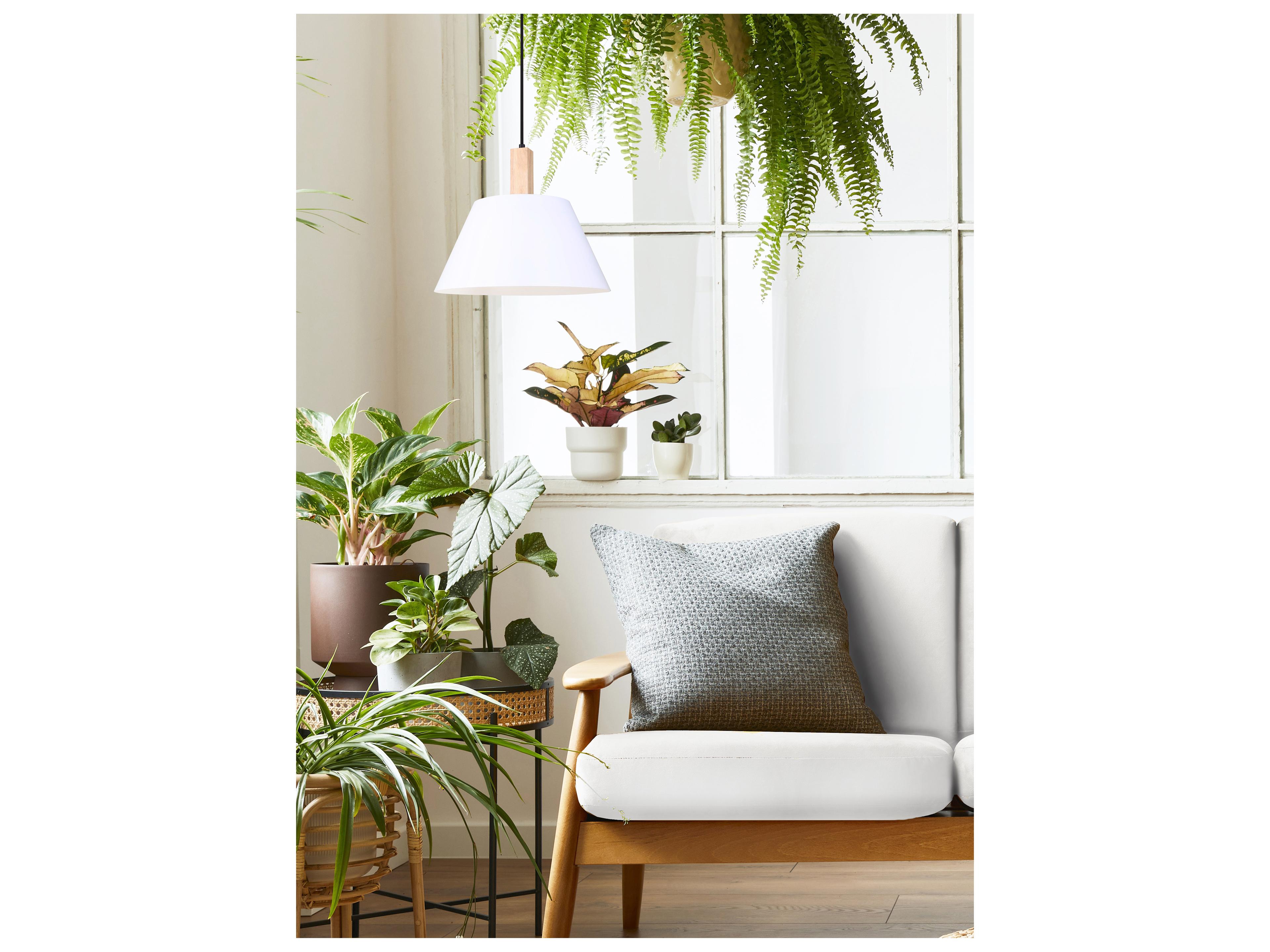 Canarm Harlyn 1 -light Black Pendant