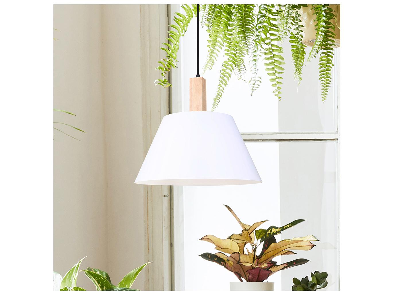 Canarm Harlyn 1 -light Black Pendant