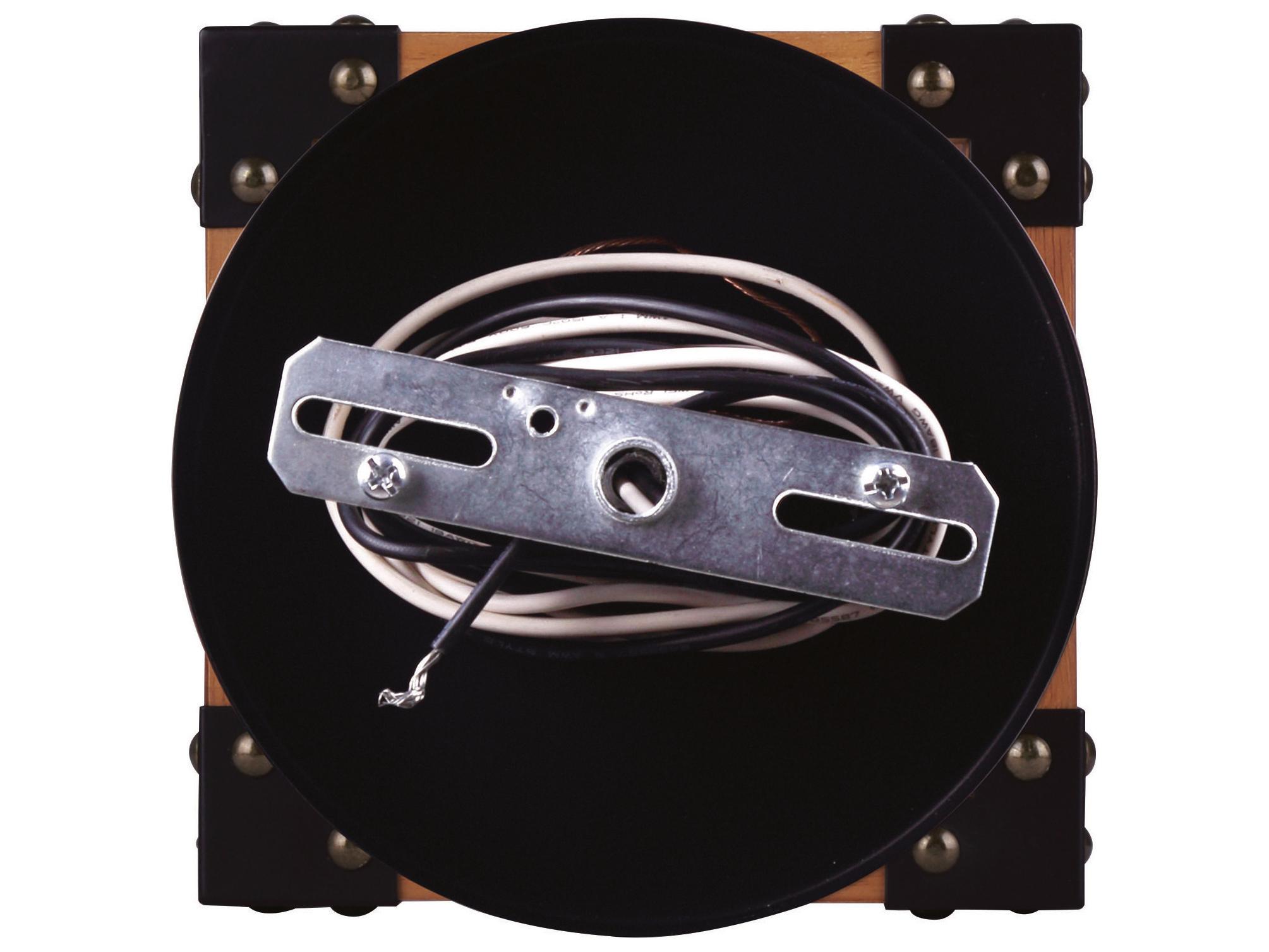 Canarm Moss 1 -light Black Mini Pendant