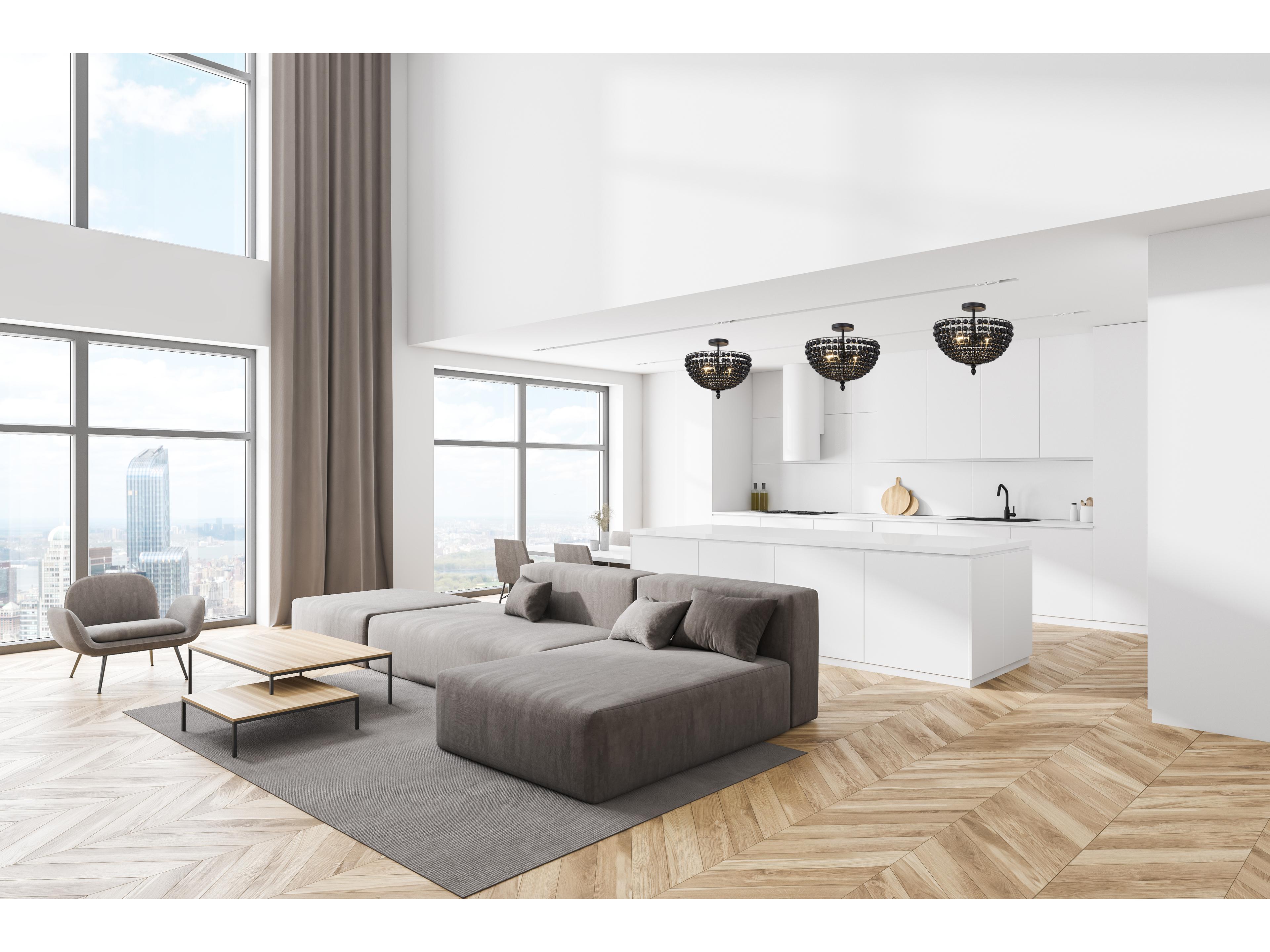 Canarm Burkley 2 -light Black Dome Semi Flush Mount