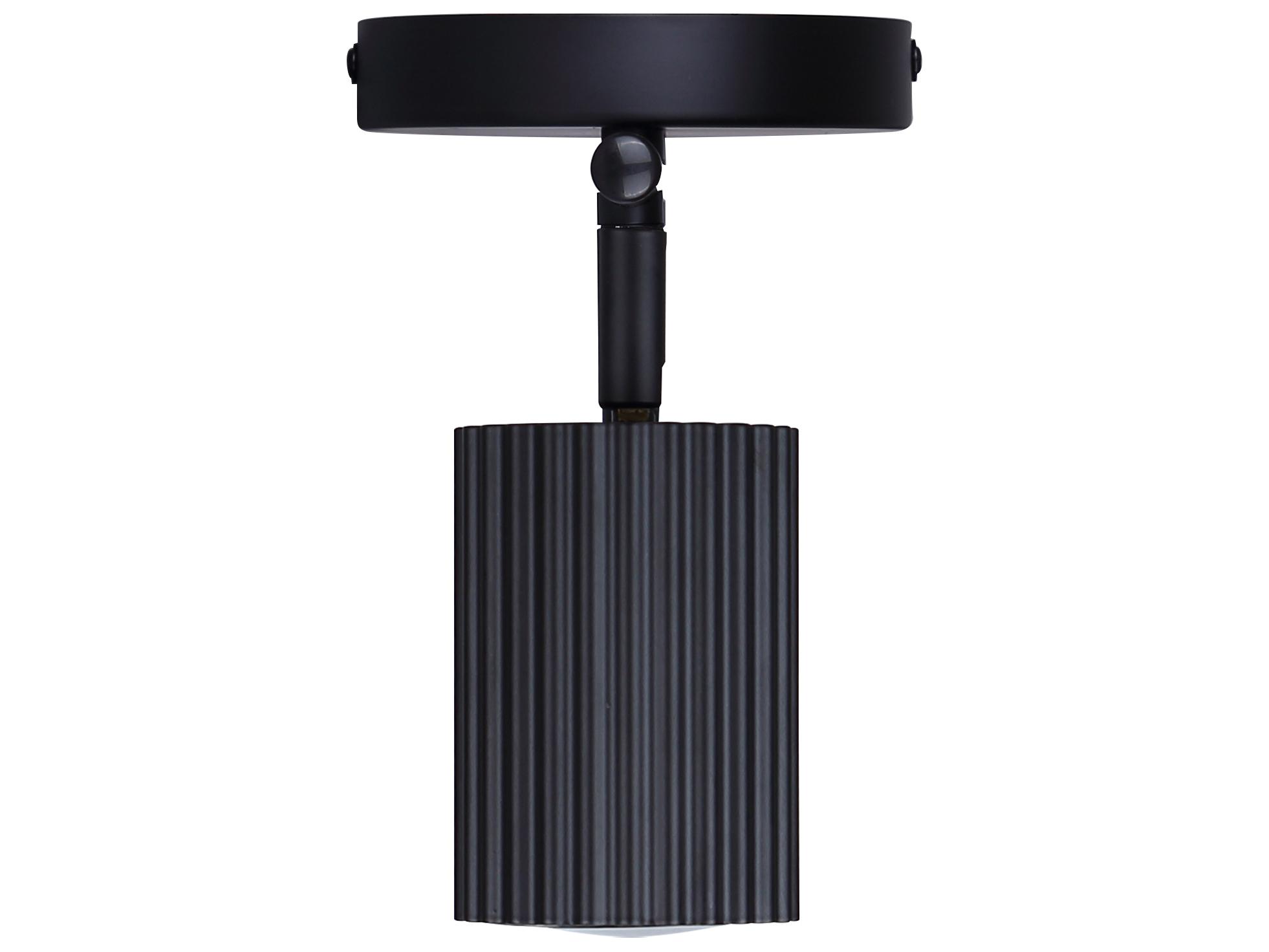 Canarm Rexton 2 -light Black Cylinder Track & Rail Light