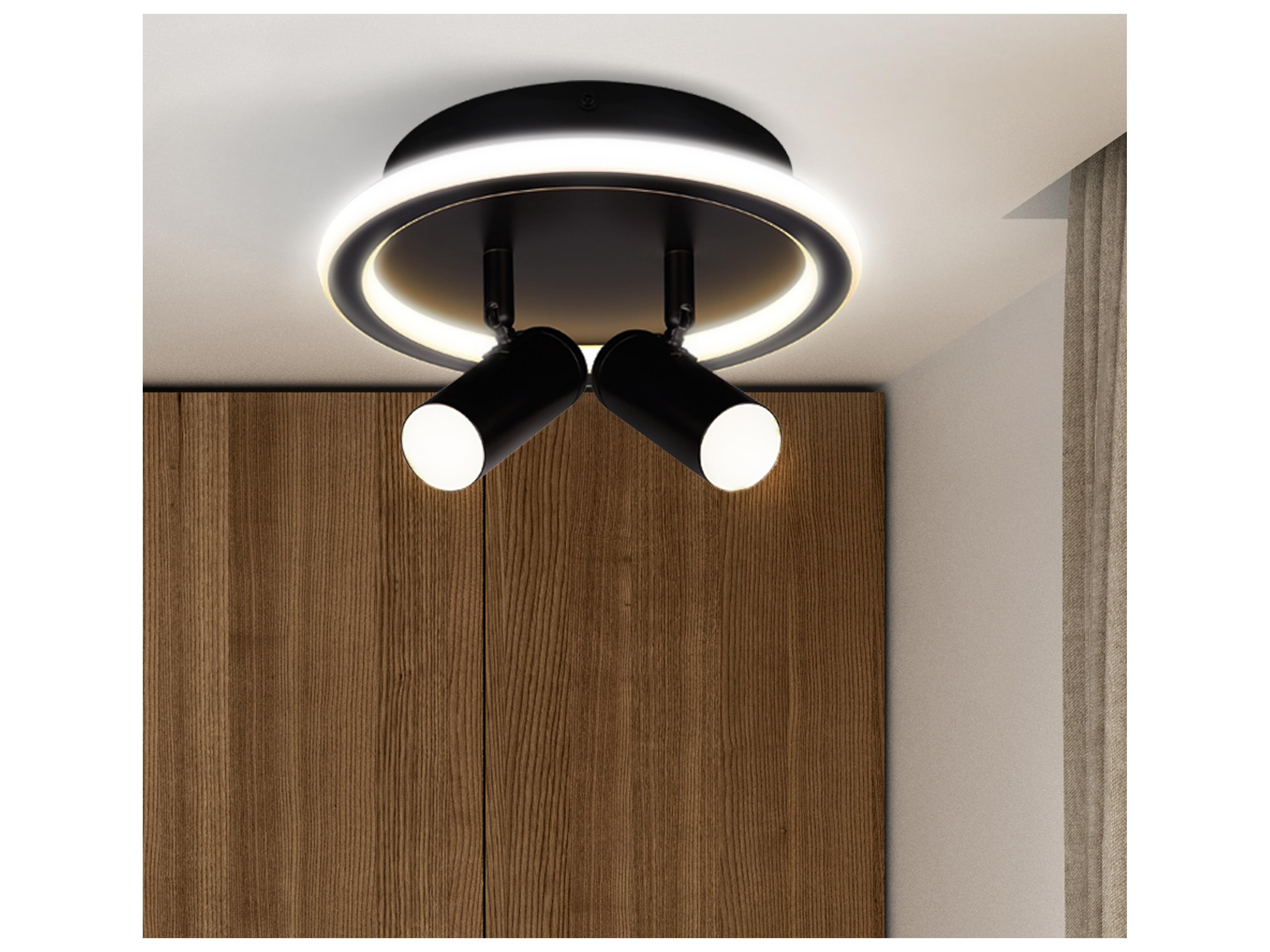 Canarm Denver Black LED Cylinder Round Flush Mount