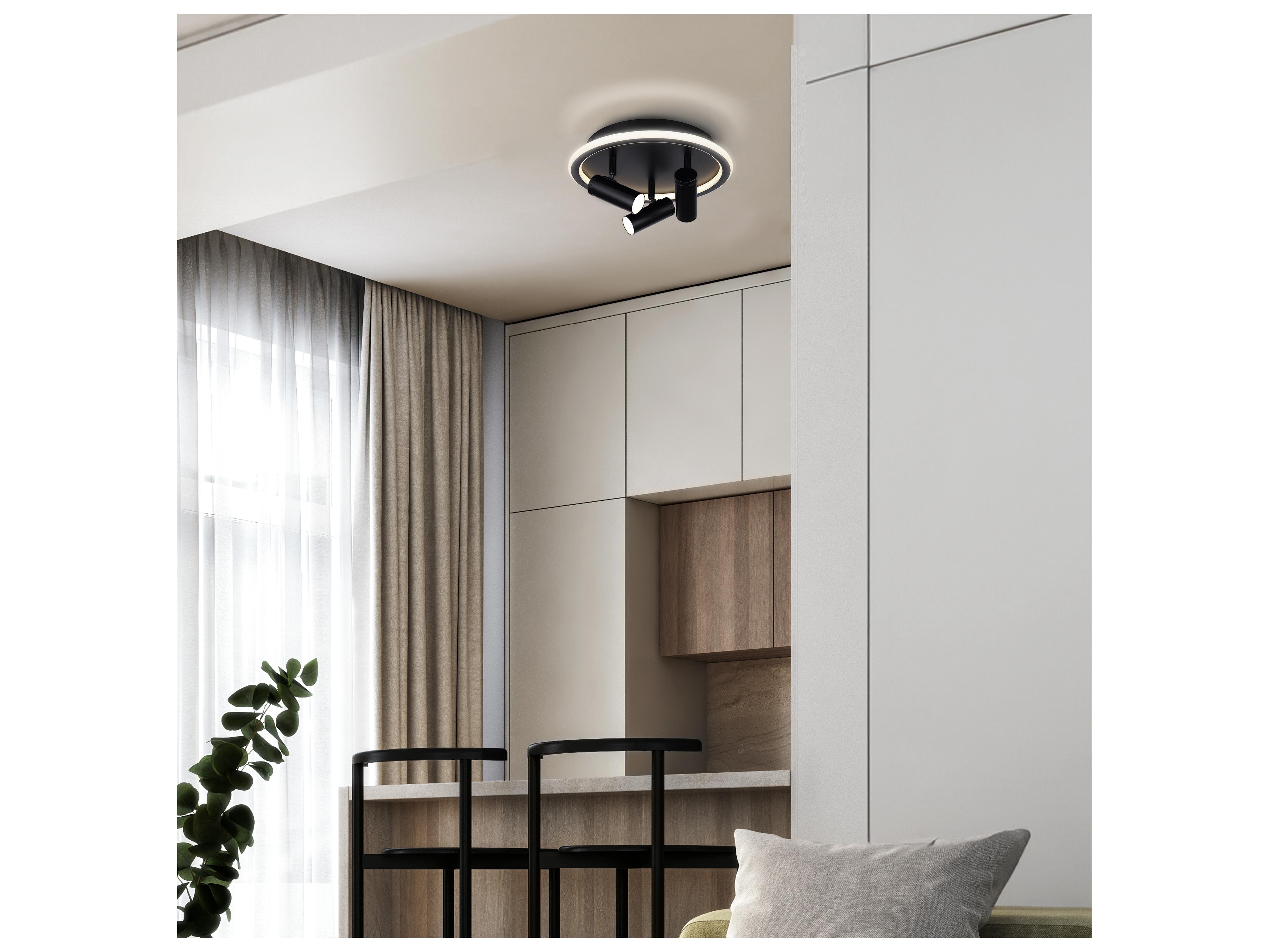 Canarm Denver Black LED Cylinder Round Flush Mount