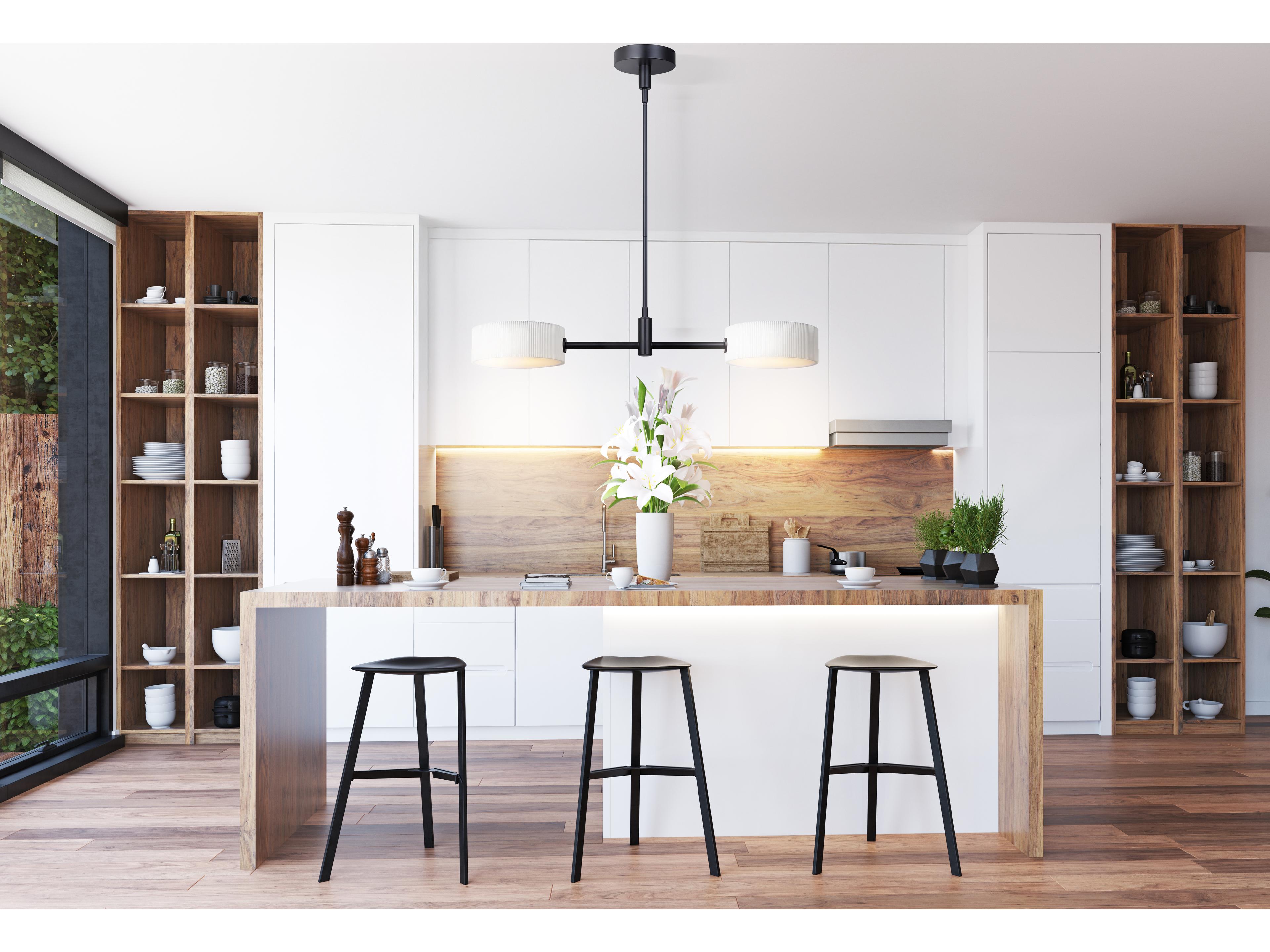 Canarm Carmynn 2 -light Black LED Drum Island Pendant