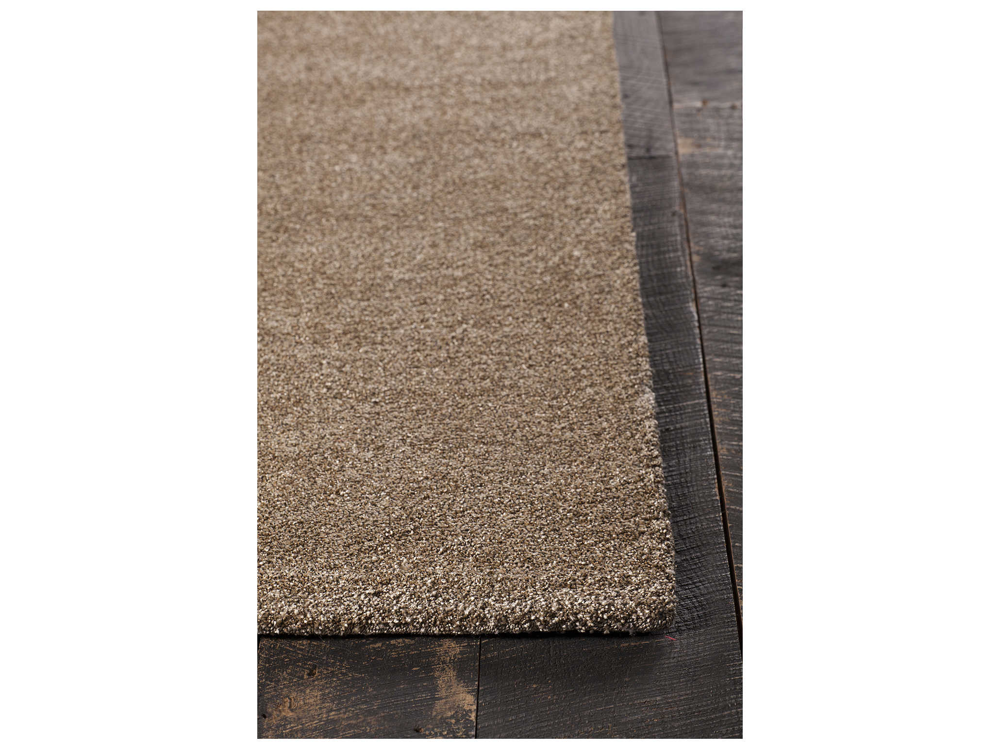 Chandra Alcon Area Rug