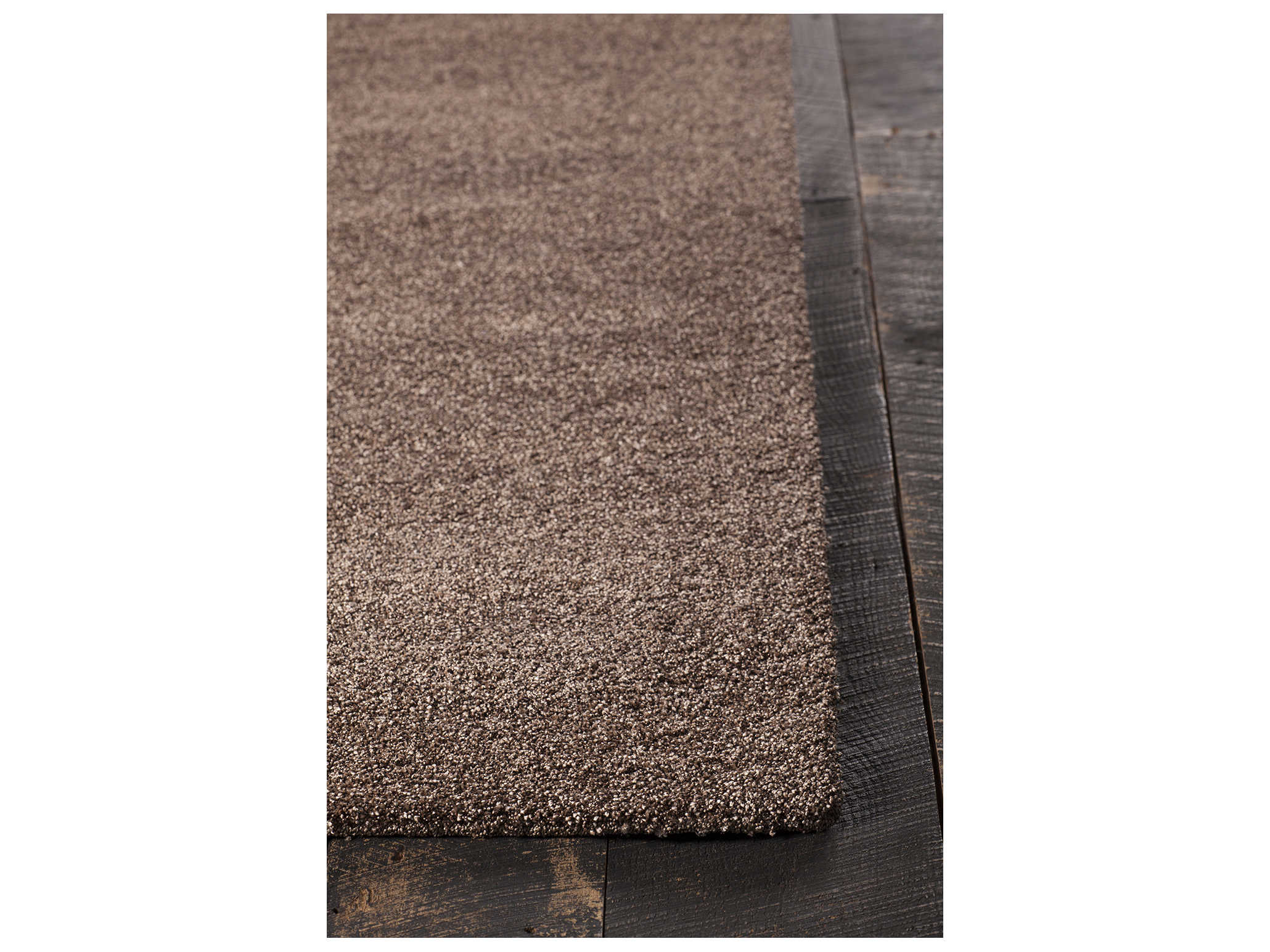 Chandra Alcon Area Rug