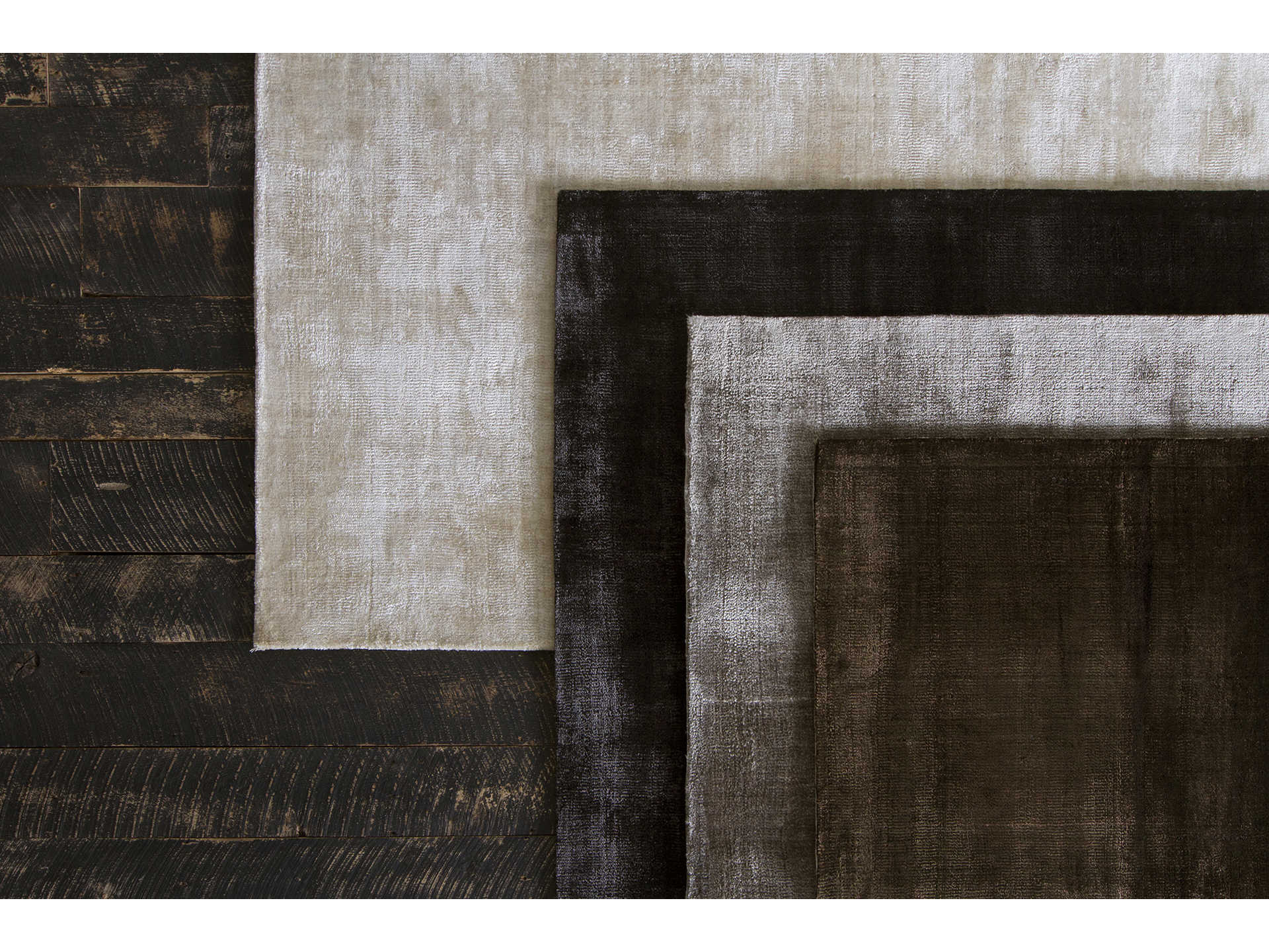 Chandra Alida Area Rug