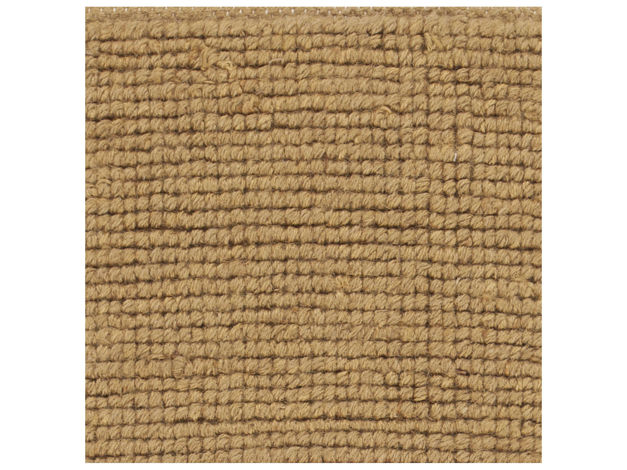 Chandra Amco Area Rug