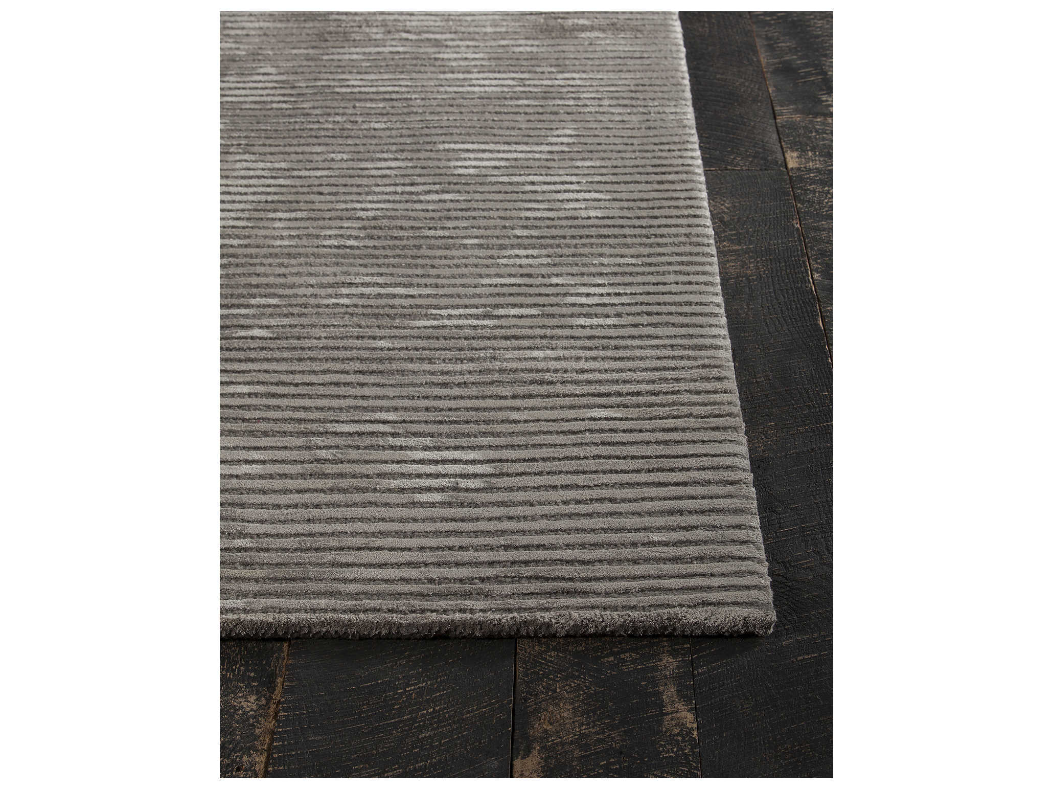 Chandra Angelo Area Rug