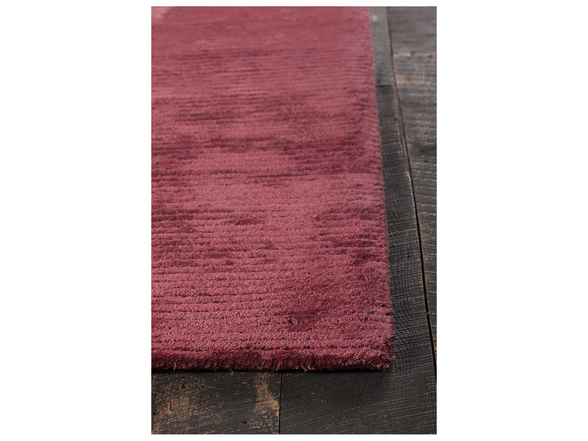 Chandra Angelo Area Rug