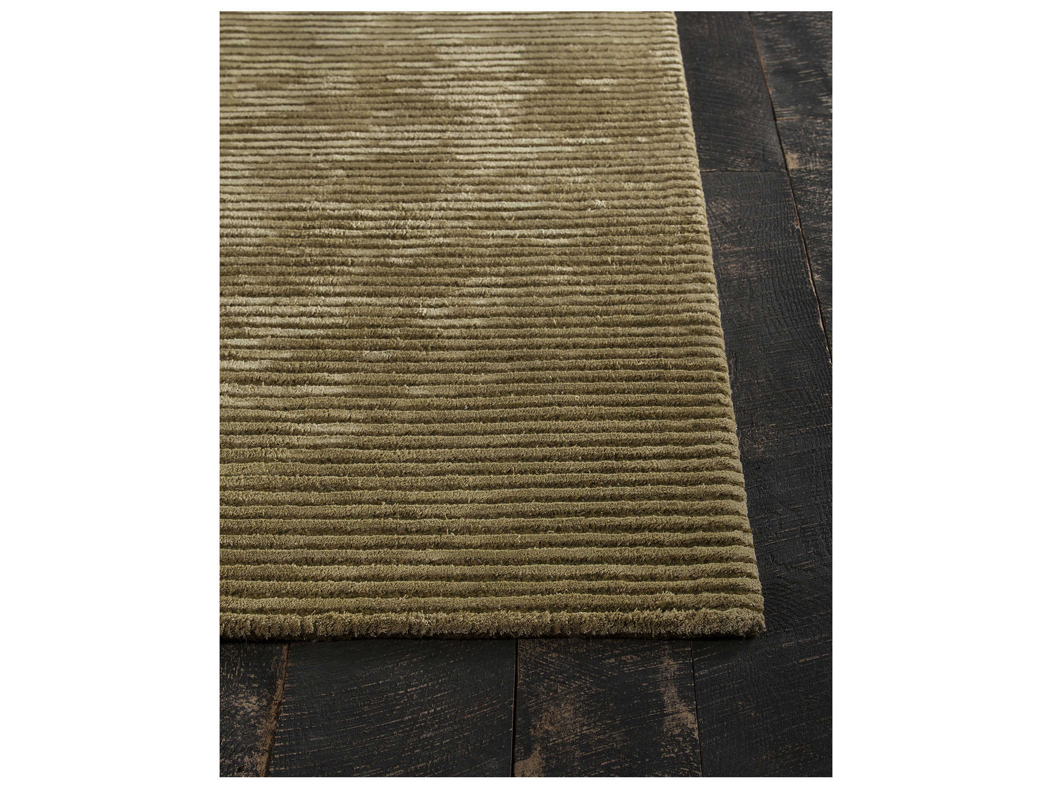 Chandra Angelo Area Rug