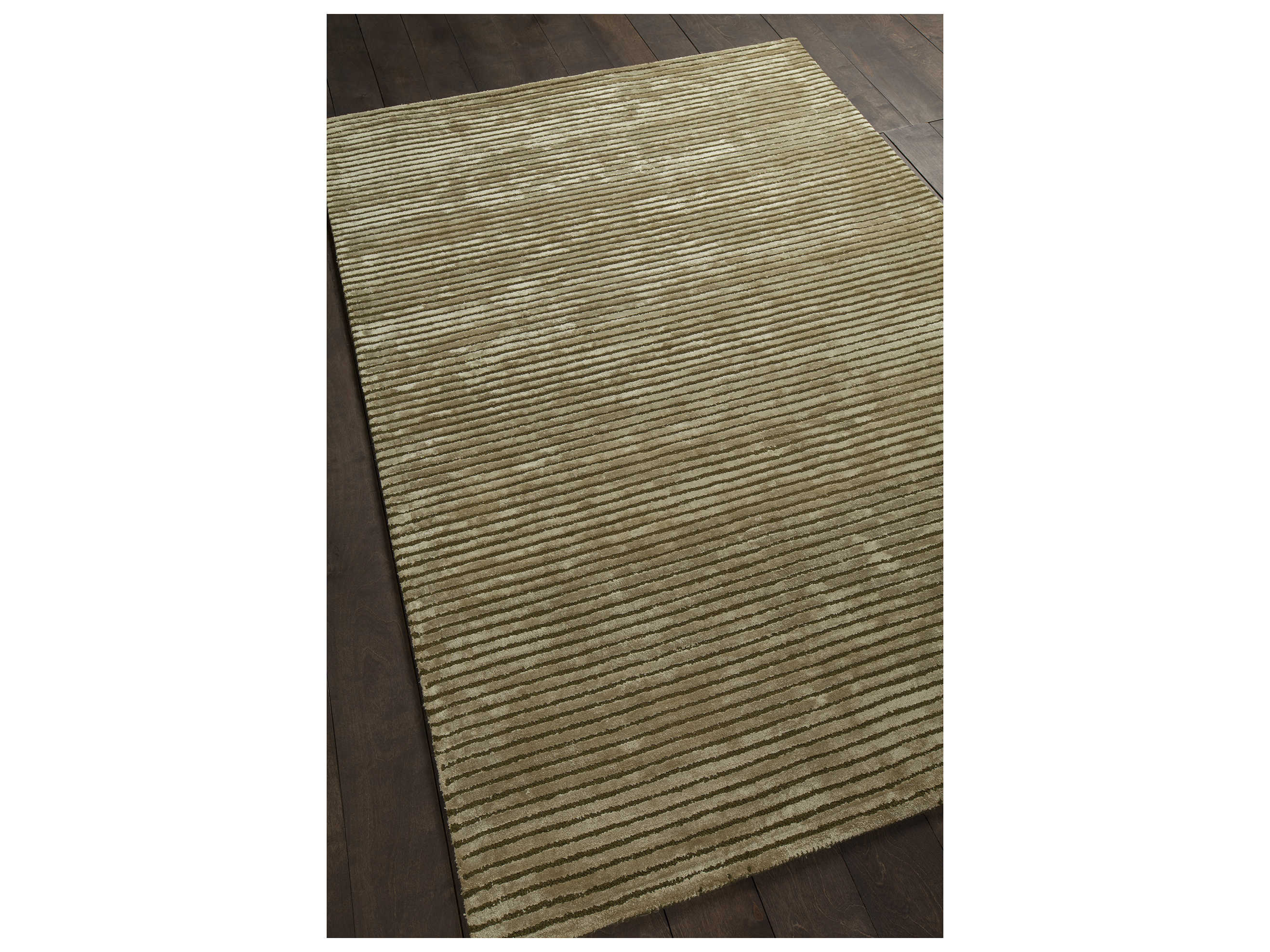 Chandra Angelo Area Rug