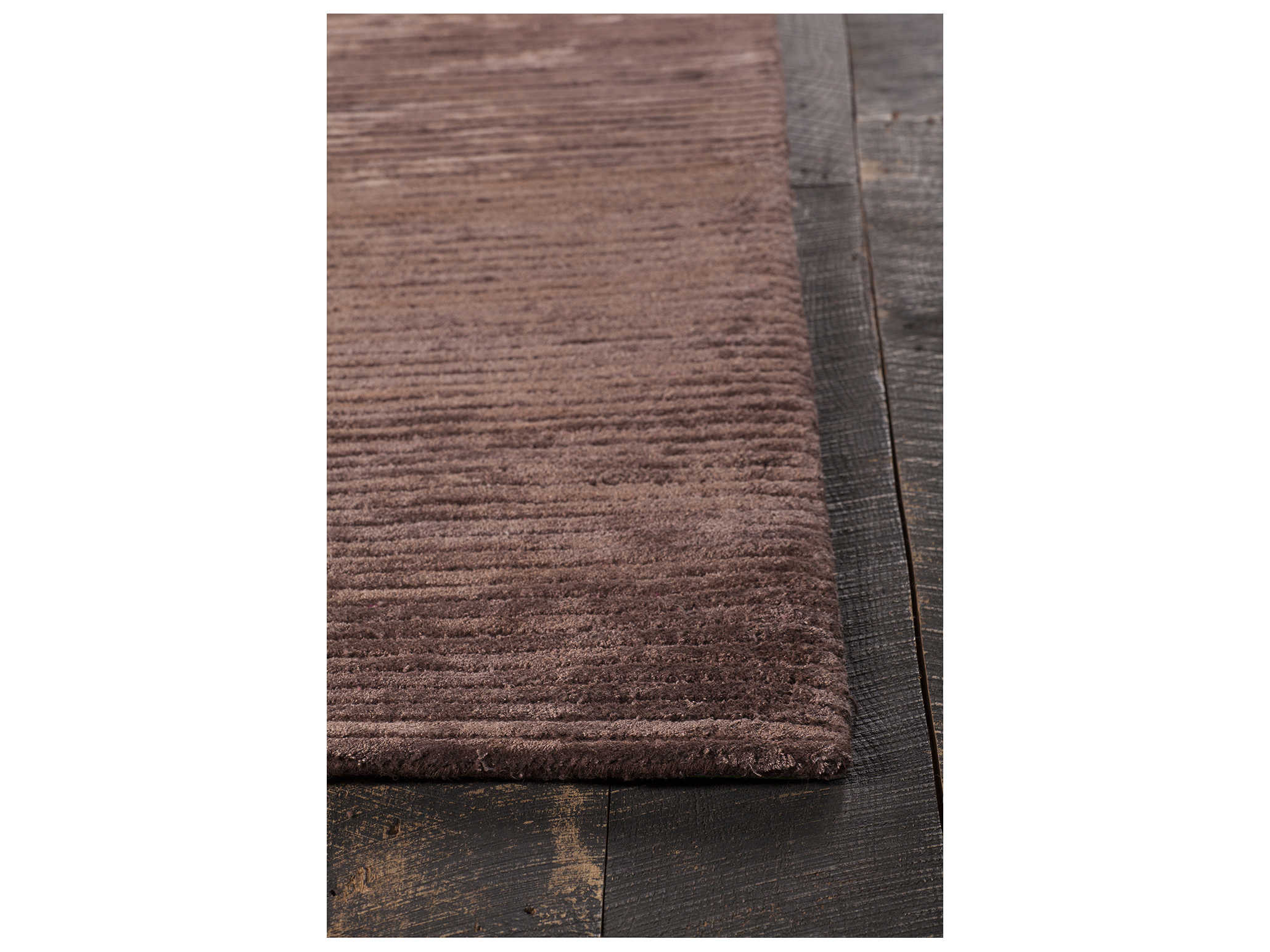 Chandra Angelo Area Rug