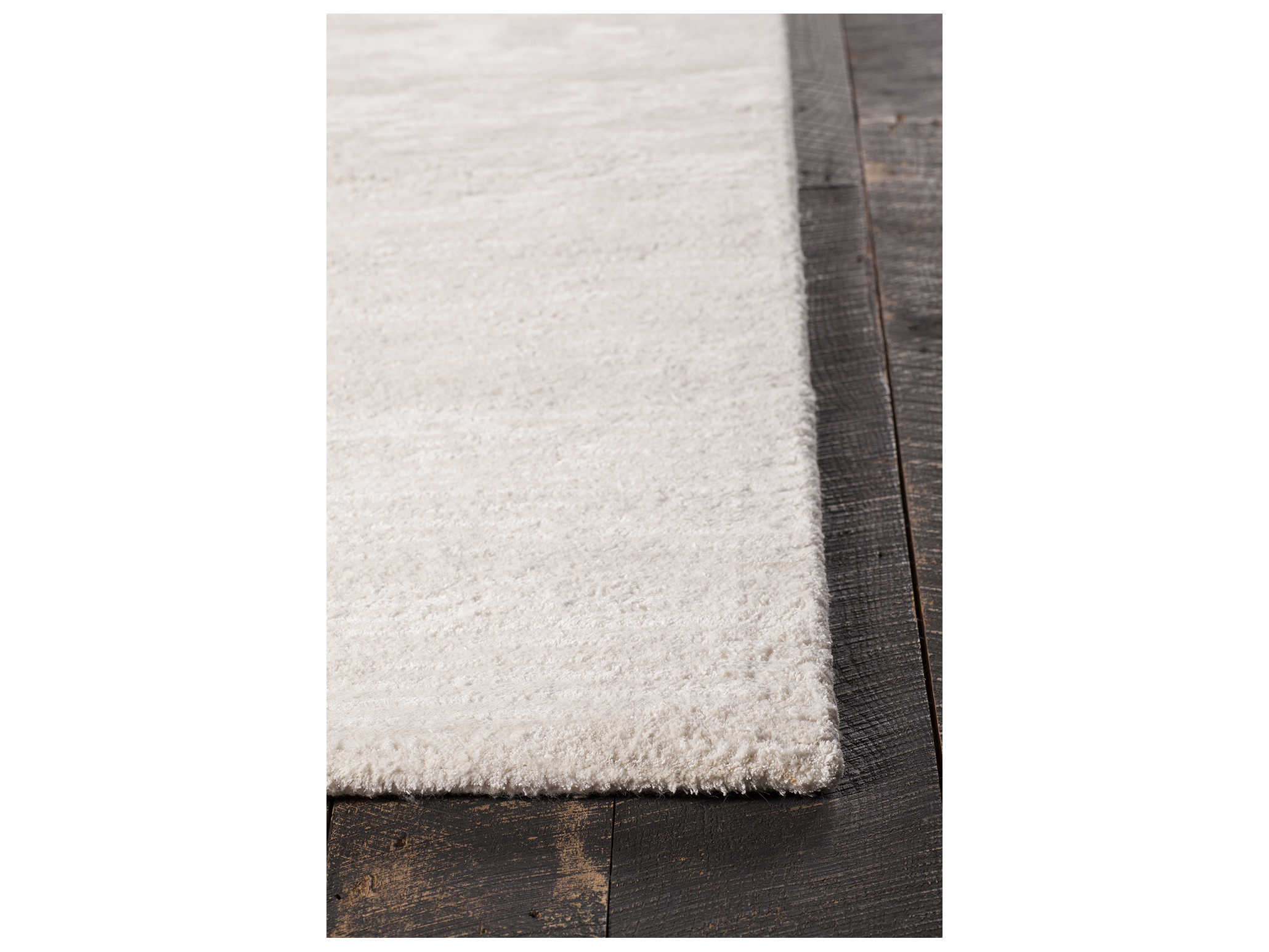 Chandra Angelo Area Rug