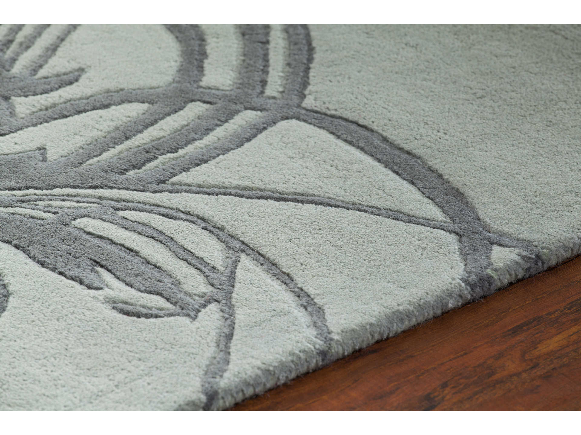 Chandra Aschera Floral Area Rug