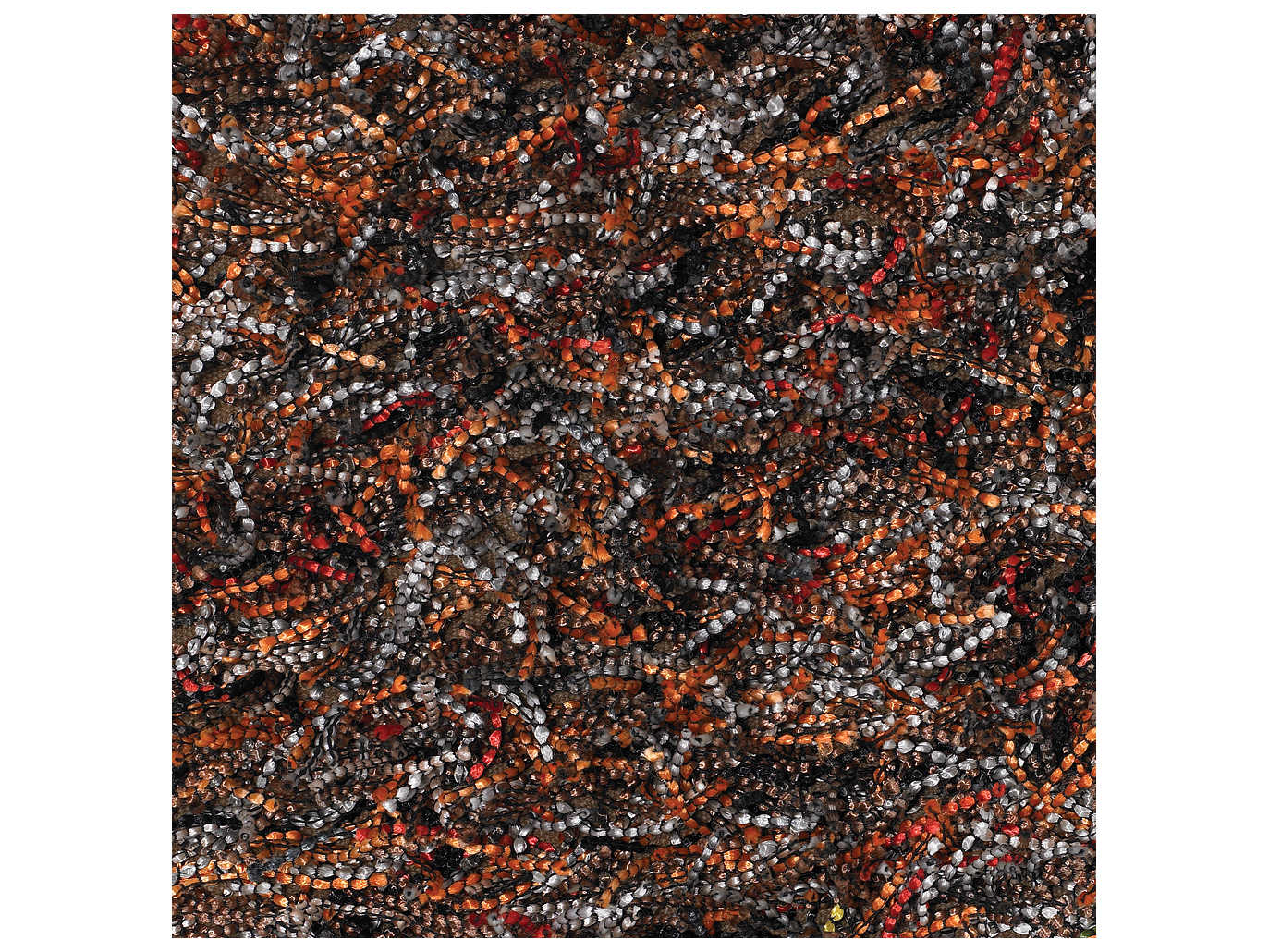 Chandra Astrid Shag Area Rug