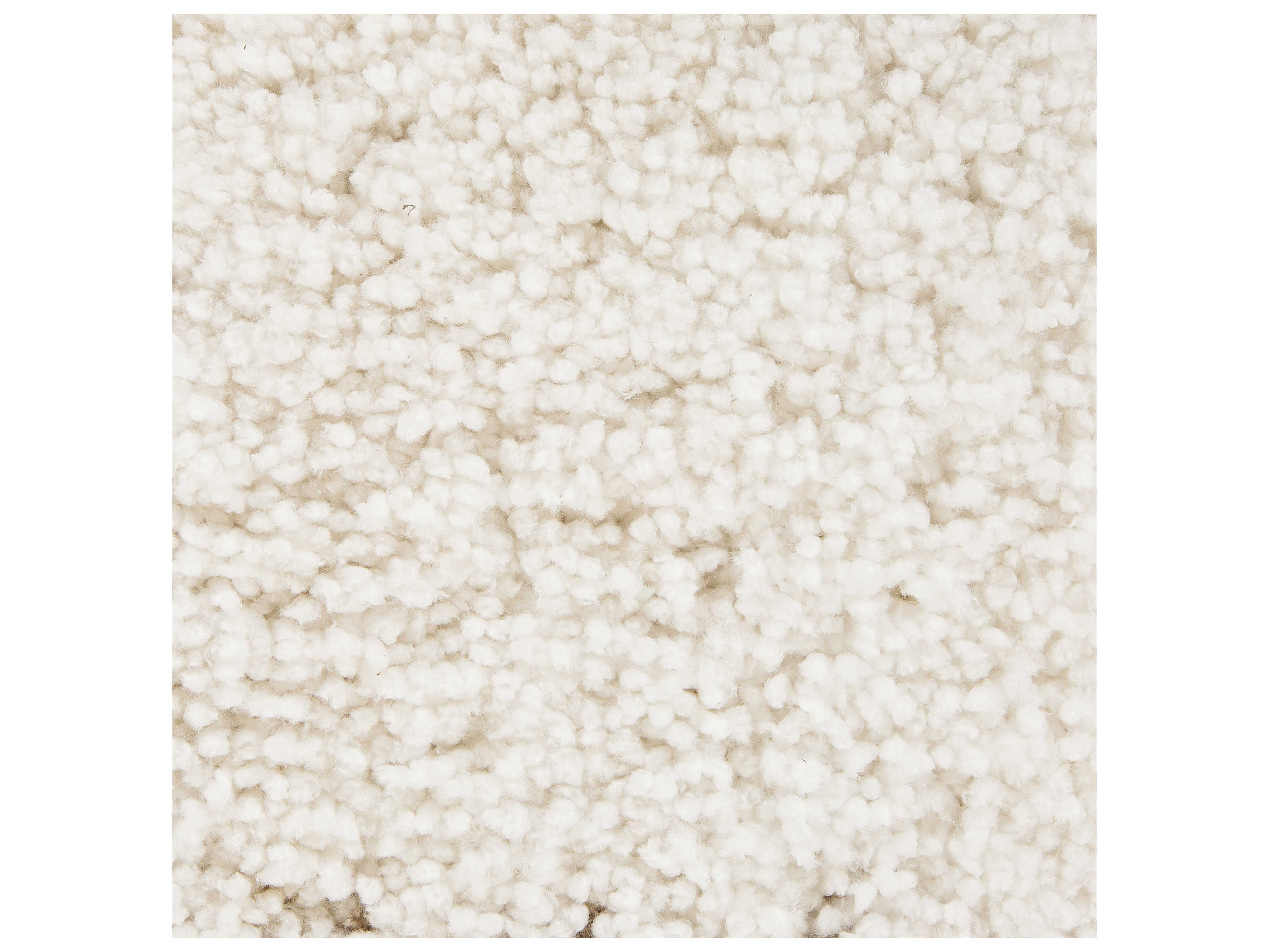 Chandra Bella Shag Area Rug