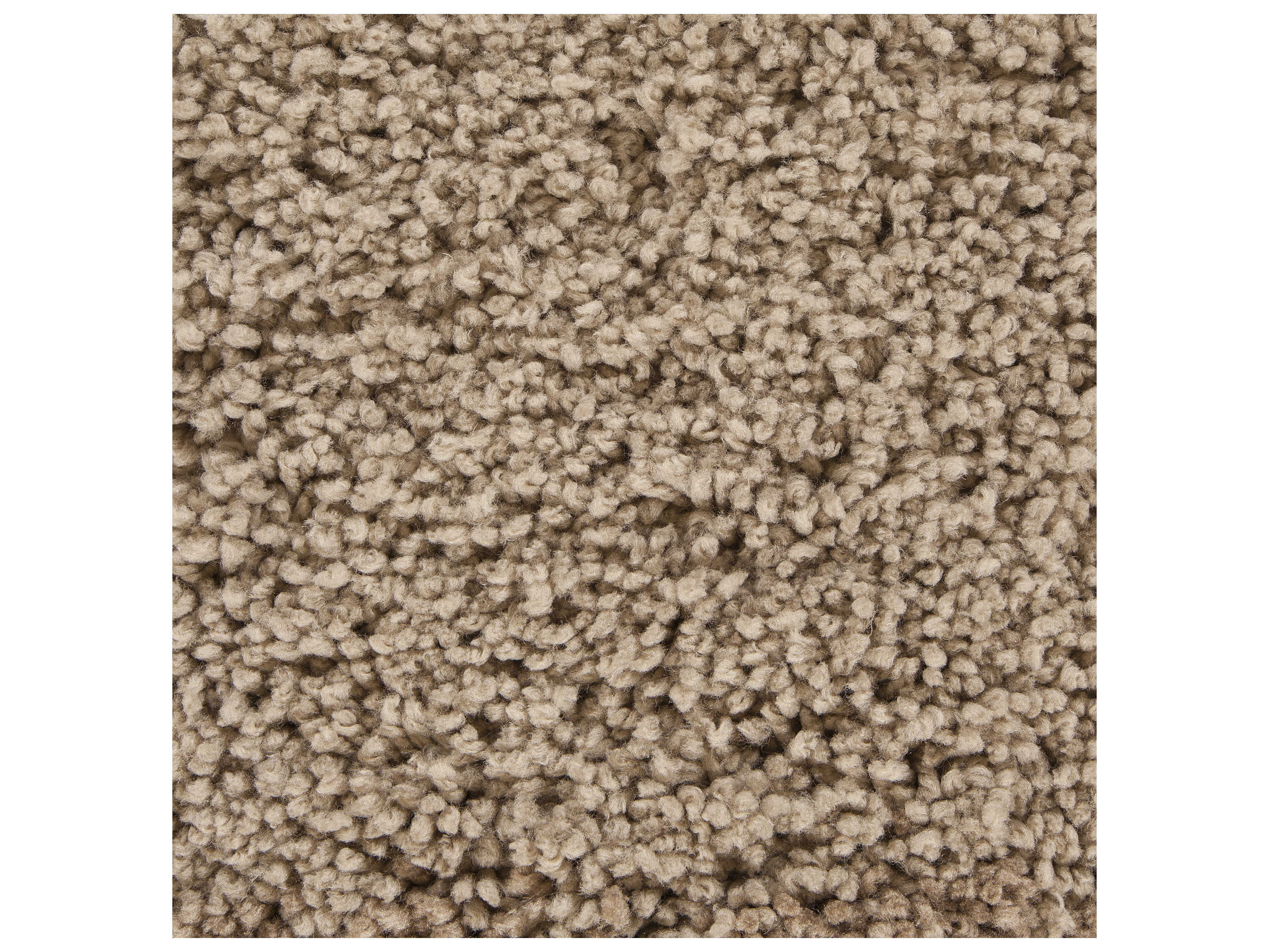 Chandra Bella Shag Area Rug