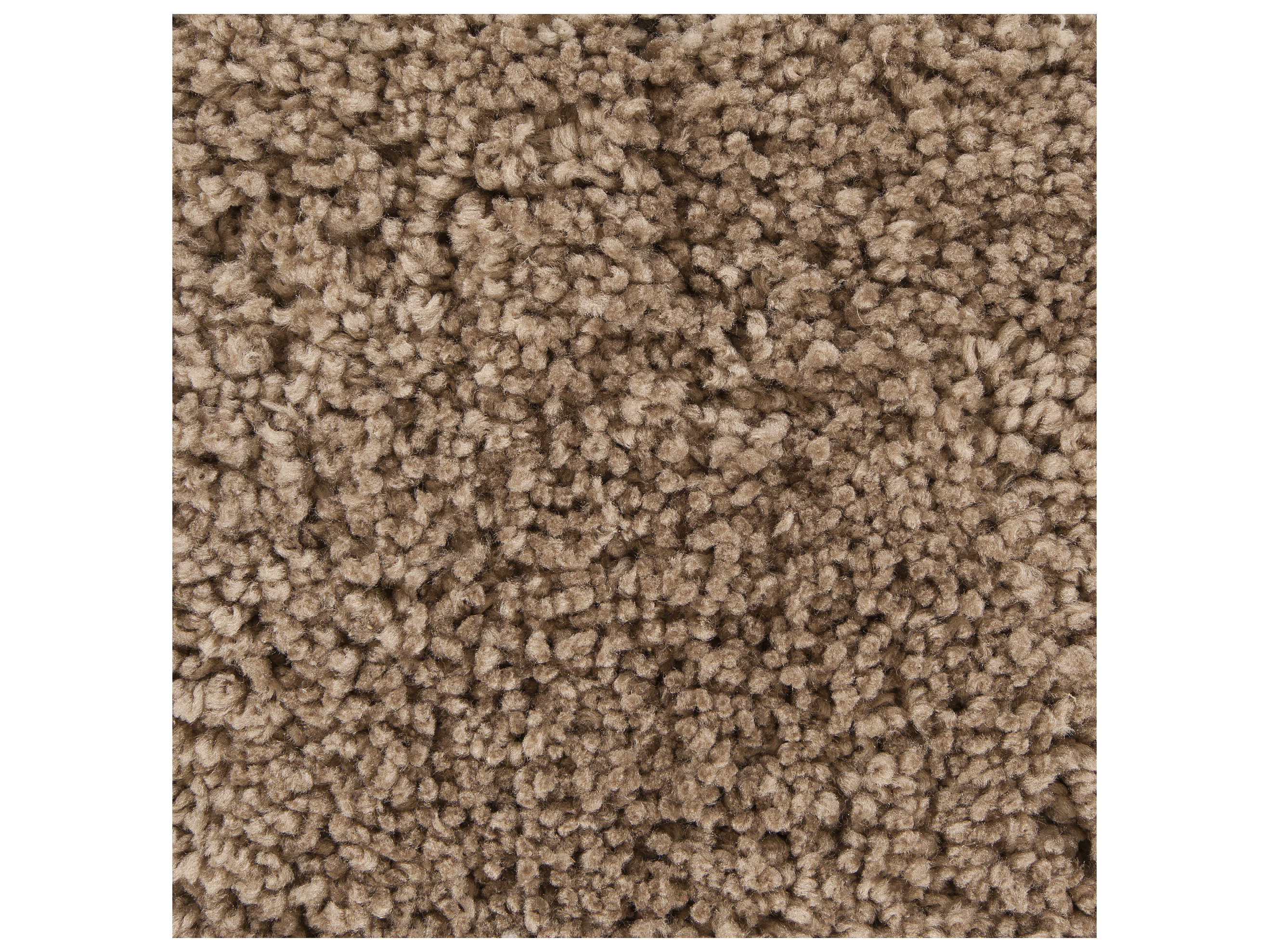 Chandra Bella Shag Area Rug