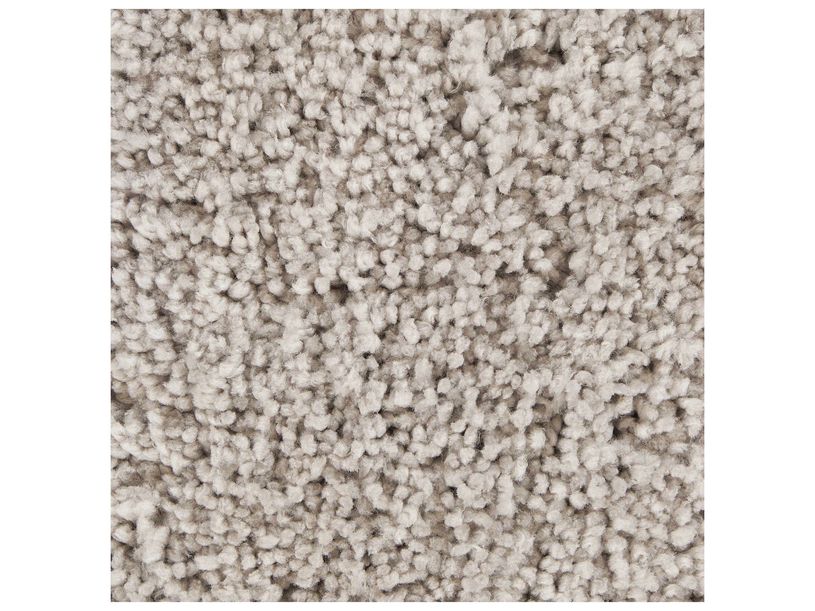 Chandra Bella Shag Area Rug