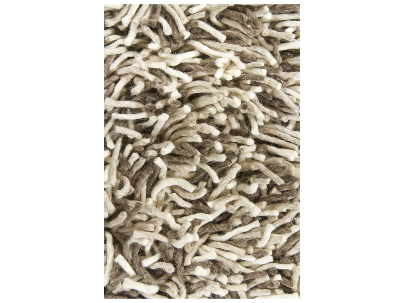 Chandra Big Jos Shag Area Rug