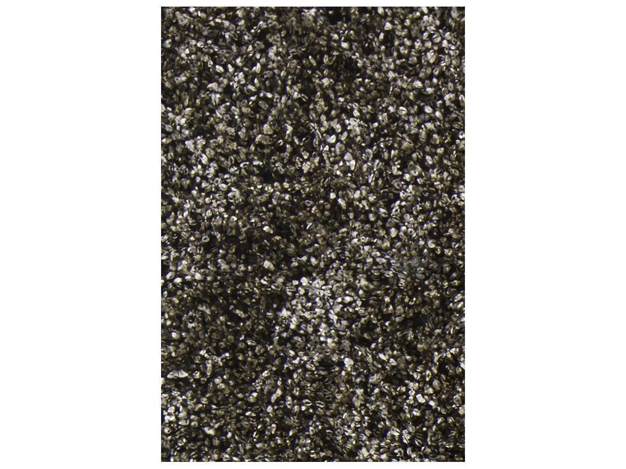 Chandra Blossom Shag Area Rug