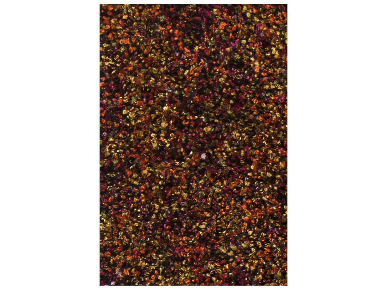 Chandra Blossom Shag Area Rug
