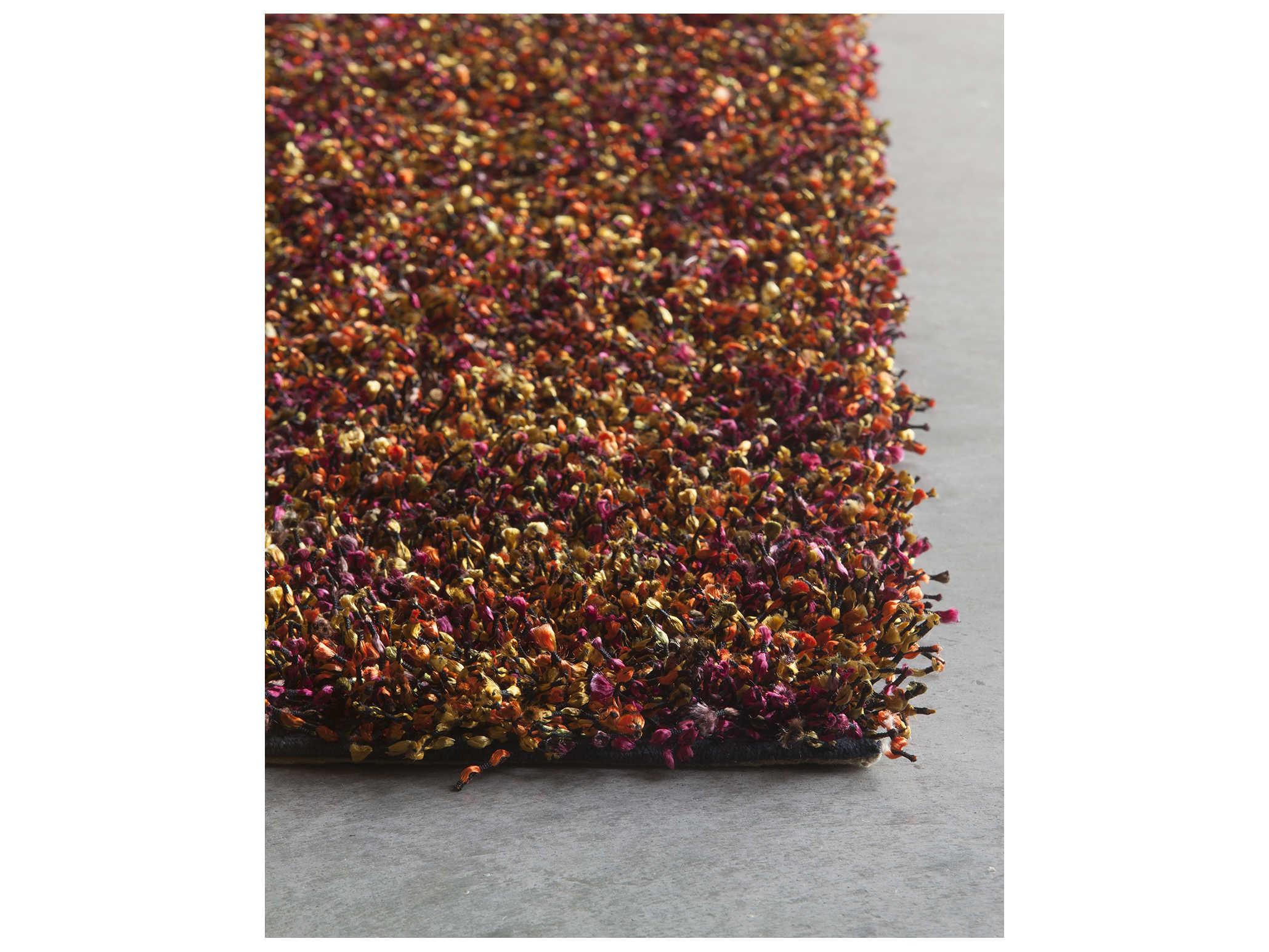 Chandra Blossom Shag Area Rug