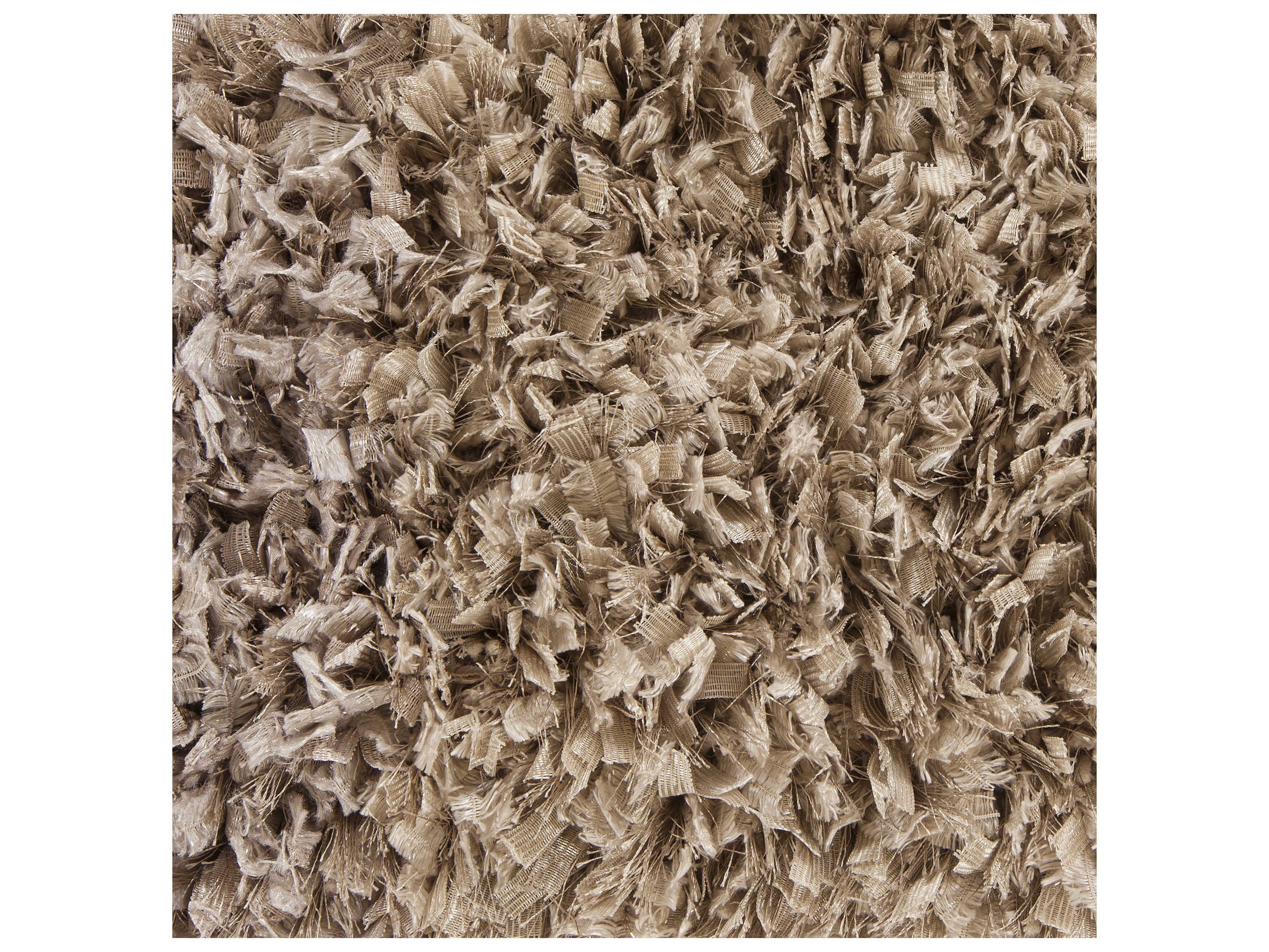 Chandra Bolero Shag Area Rug