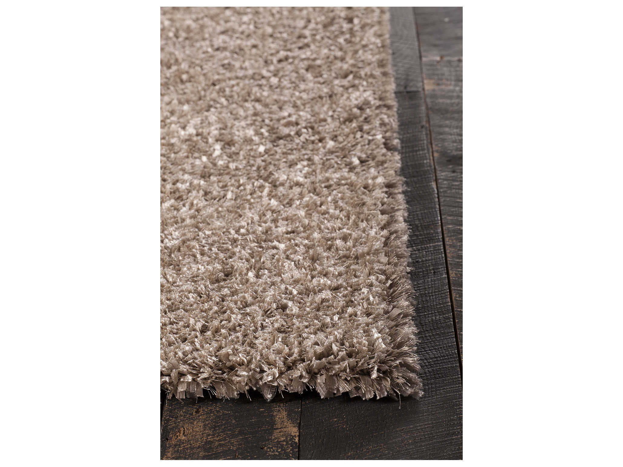 Chandra Bolero Shag Area Rug