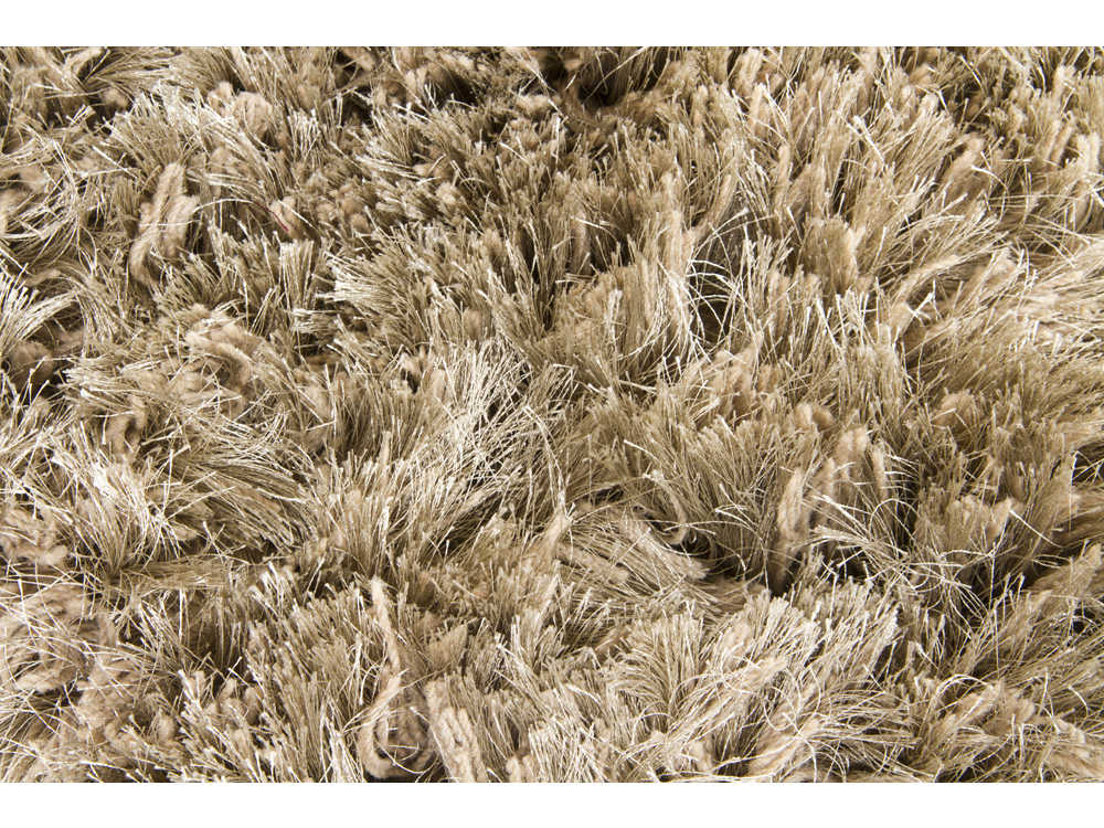 Chandra Celecot Shag Area Rug