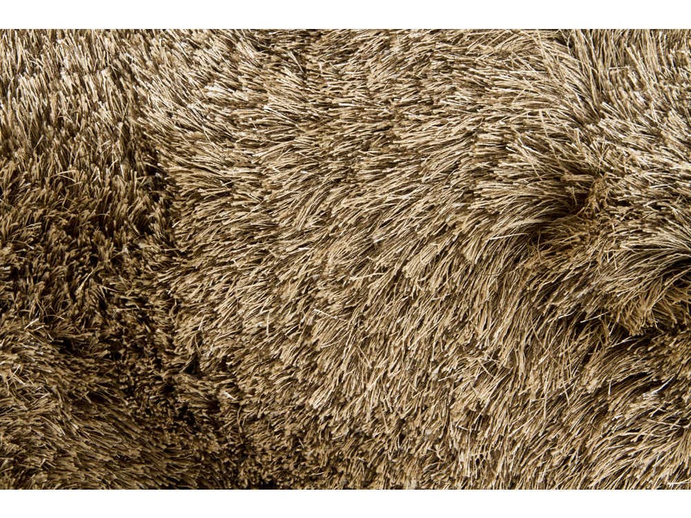 Chandra Celecot Shag Area Rug